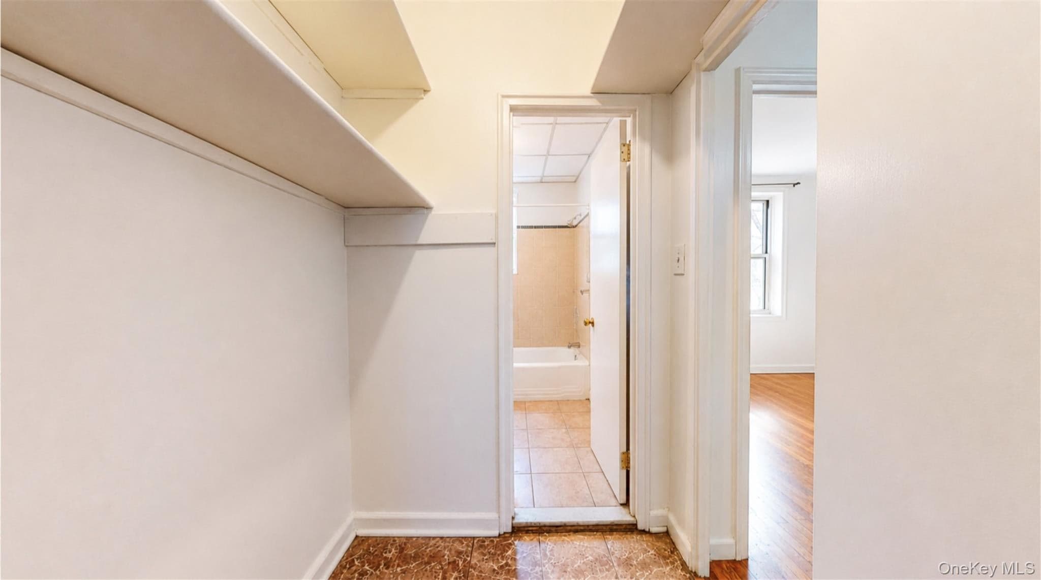 41-50 78th Street Unit: 319 thumbnail 11