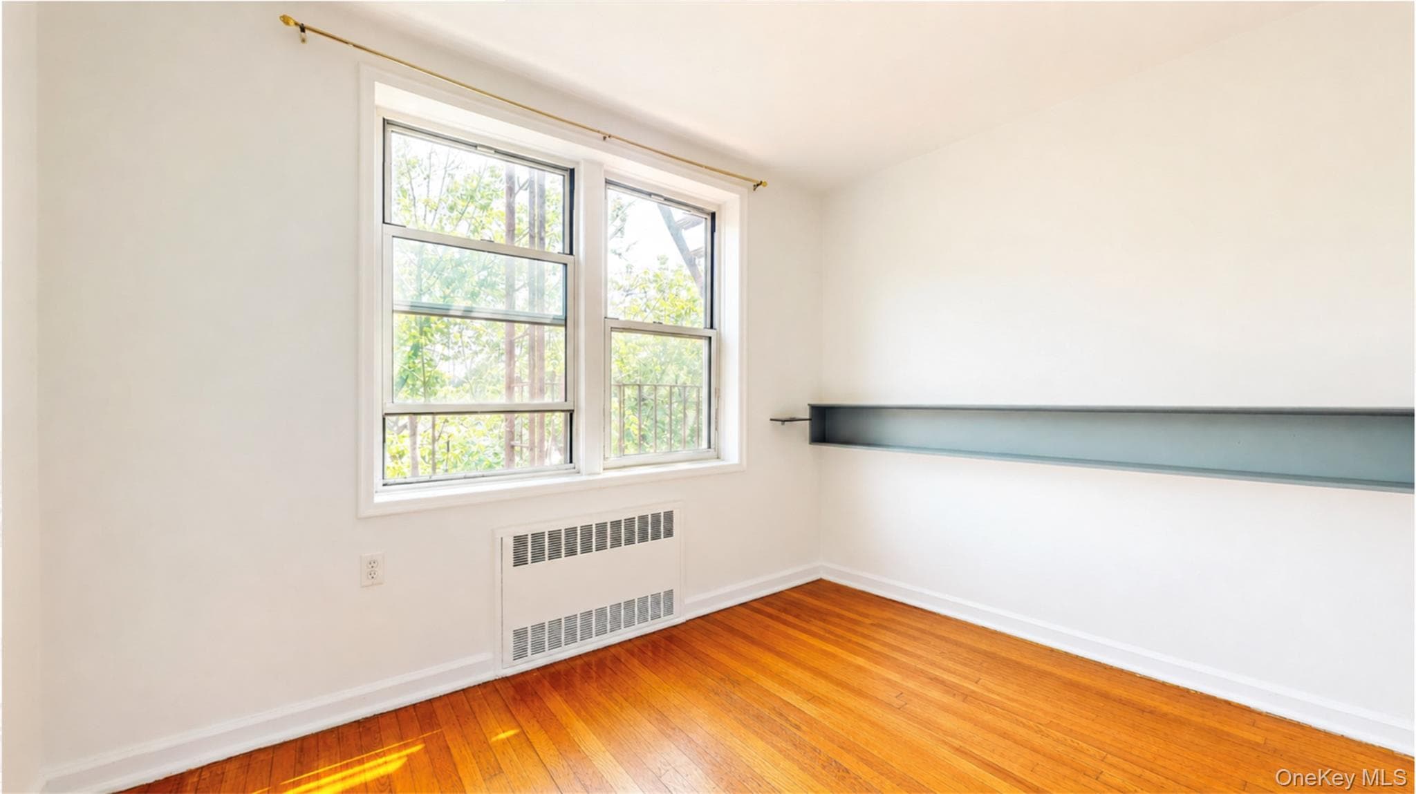 41-50 78th Street Unit: 319 thumbnail 14
