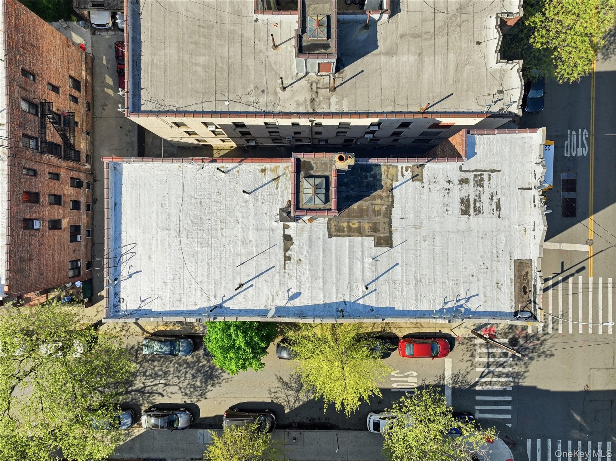 1084 Willmohr Street thumbnail 14