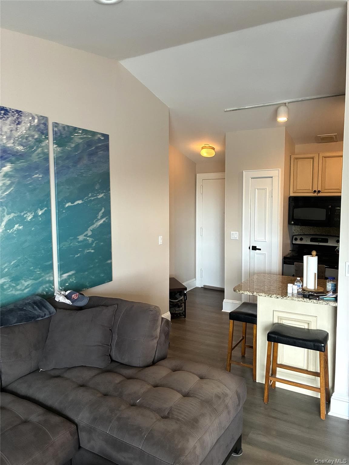 185 W Park Avenue Unit: 200 thumbnail 3