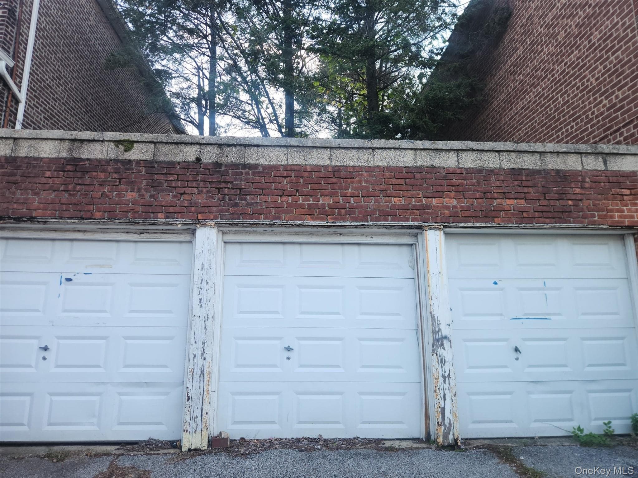 859 Penfield Street thumbnail 4
