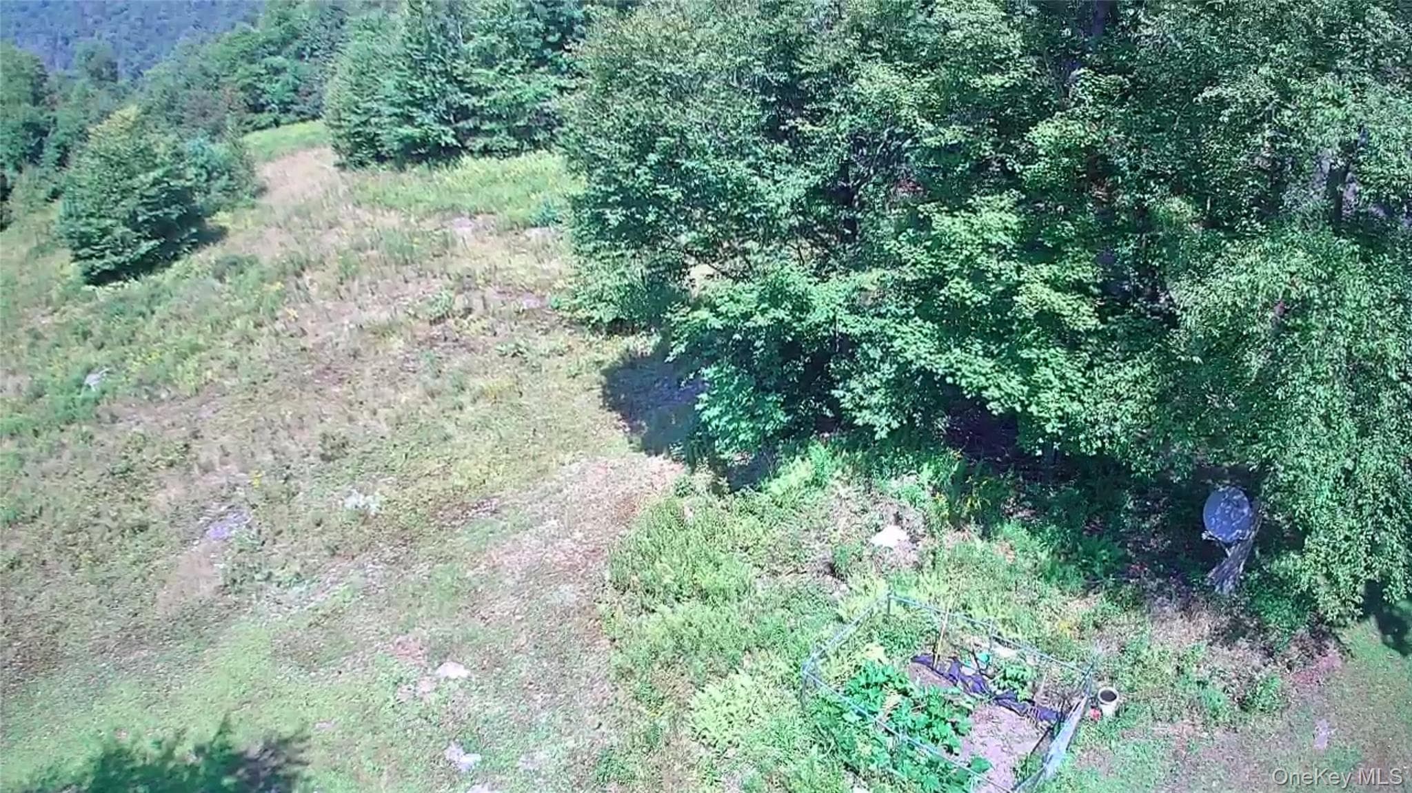 885 Grandview Road thumbnail 49