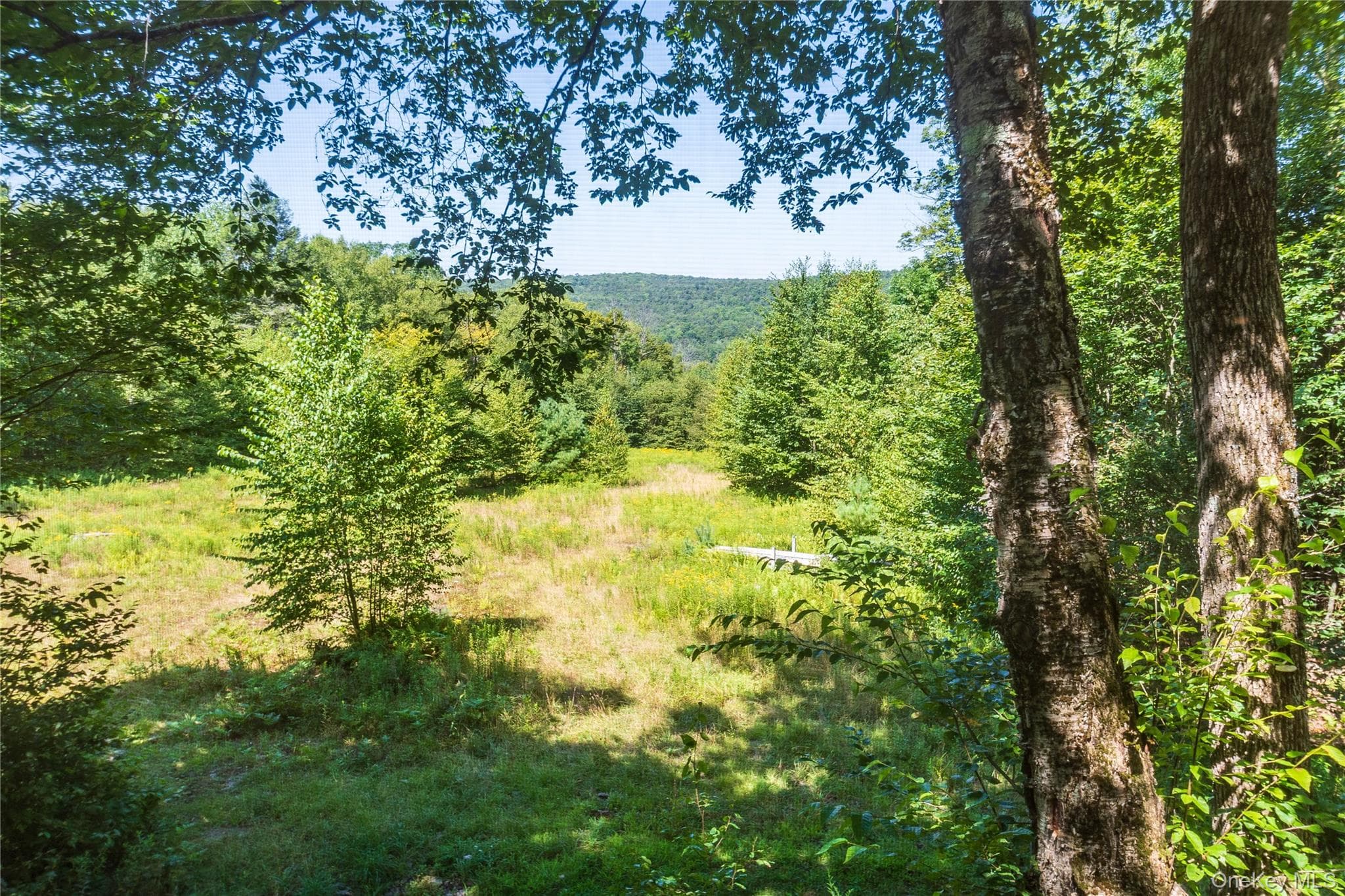 885 Grandview Road thumbnail 38