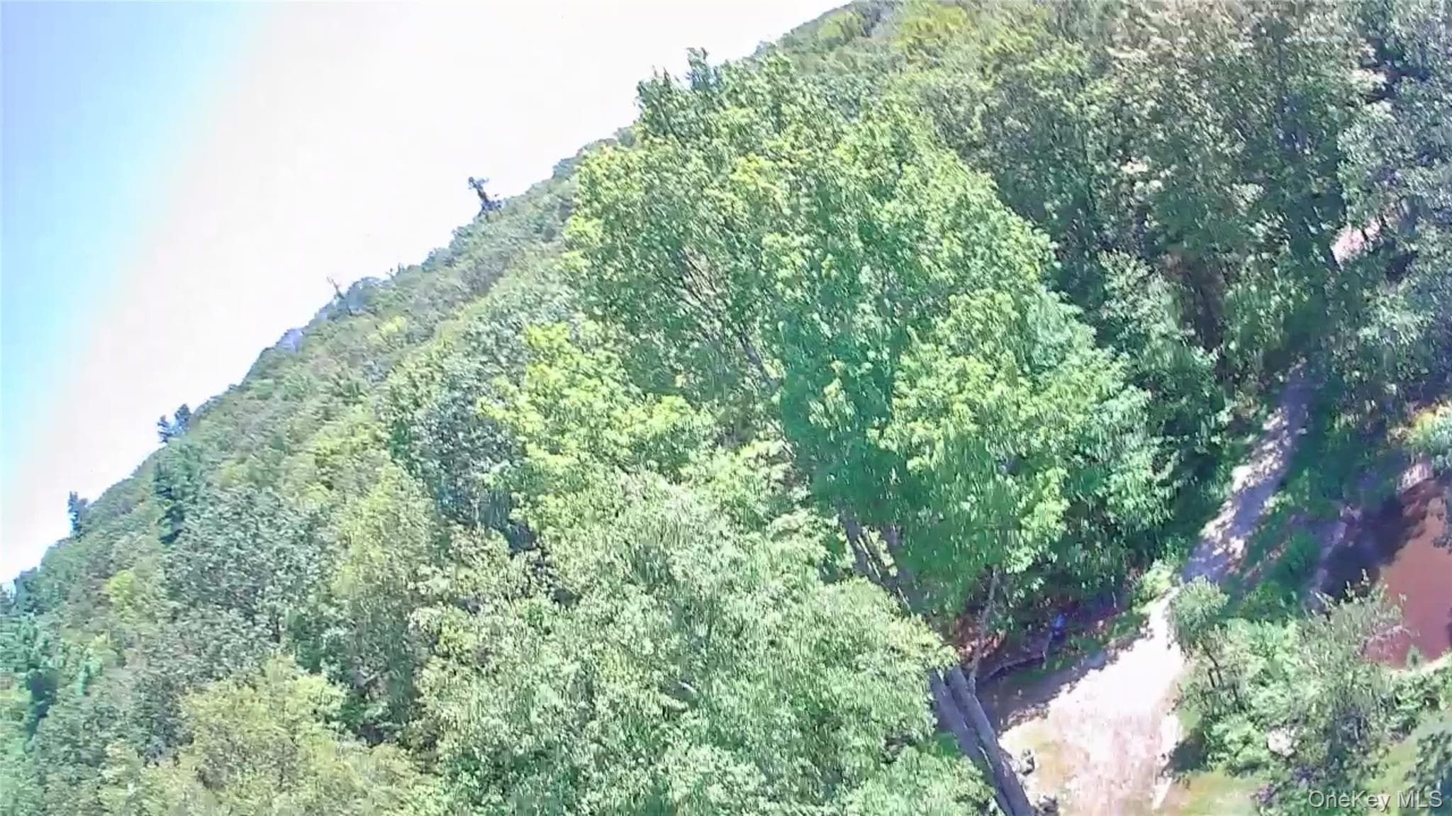 885 Grandview Road thumbnail 48