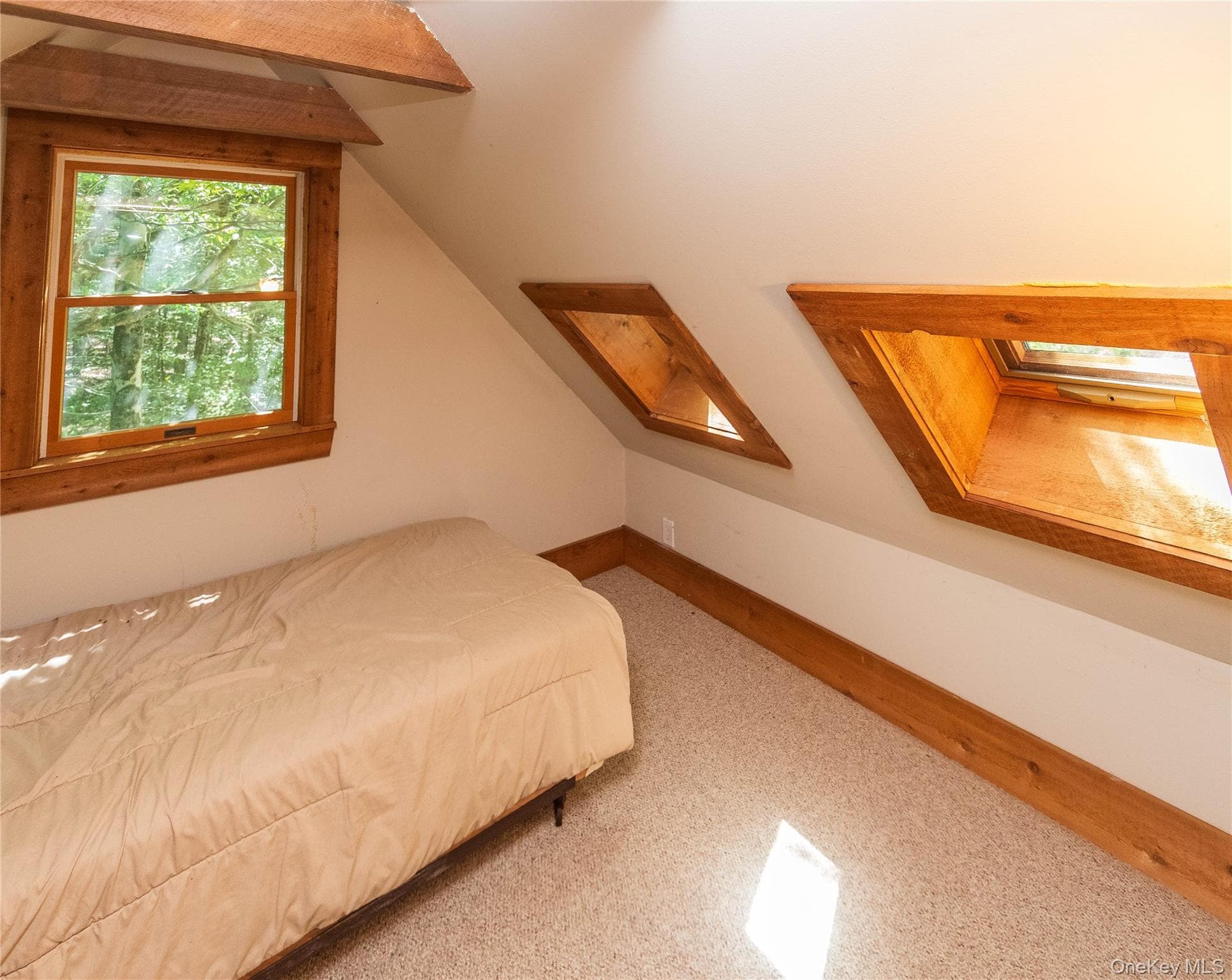 885 Grandview Road thumbnail 22