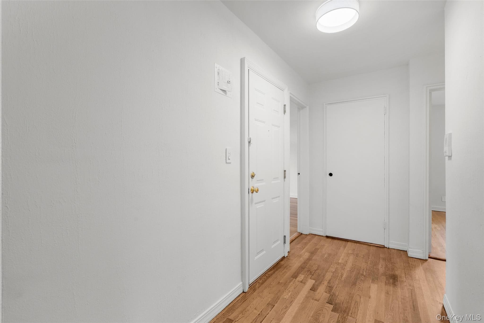 907 Palmer Avenue Unit: C2 thumbnail 4