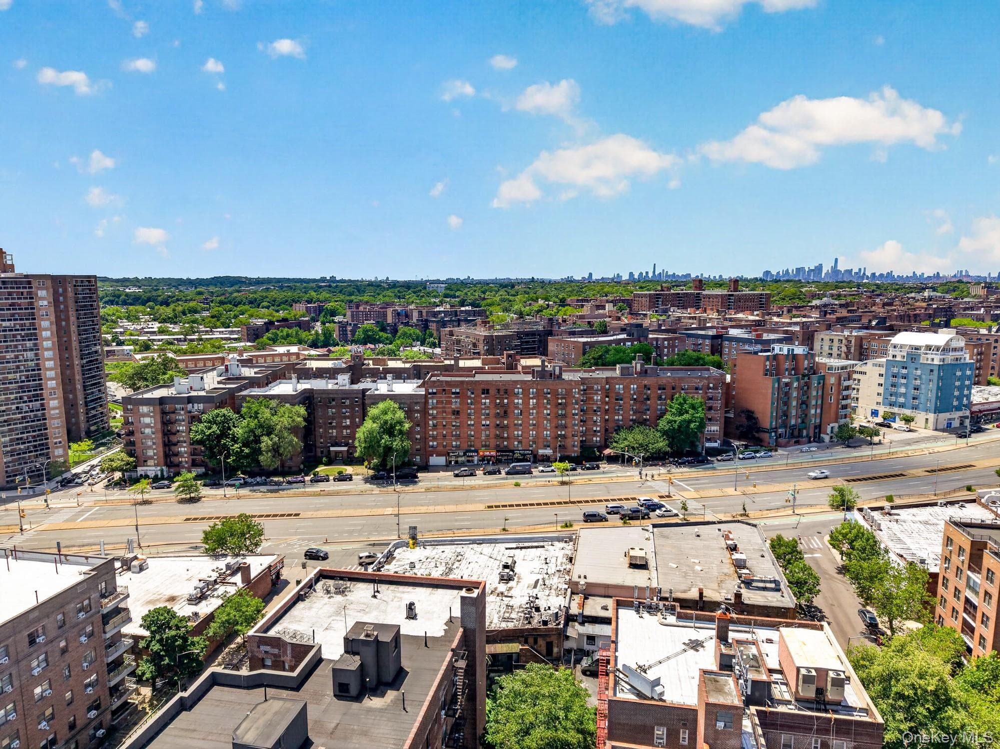 10230 Queens Boulevard Unit: 1009 thumbnail 8