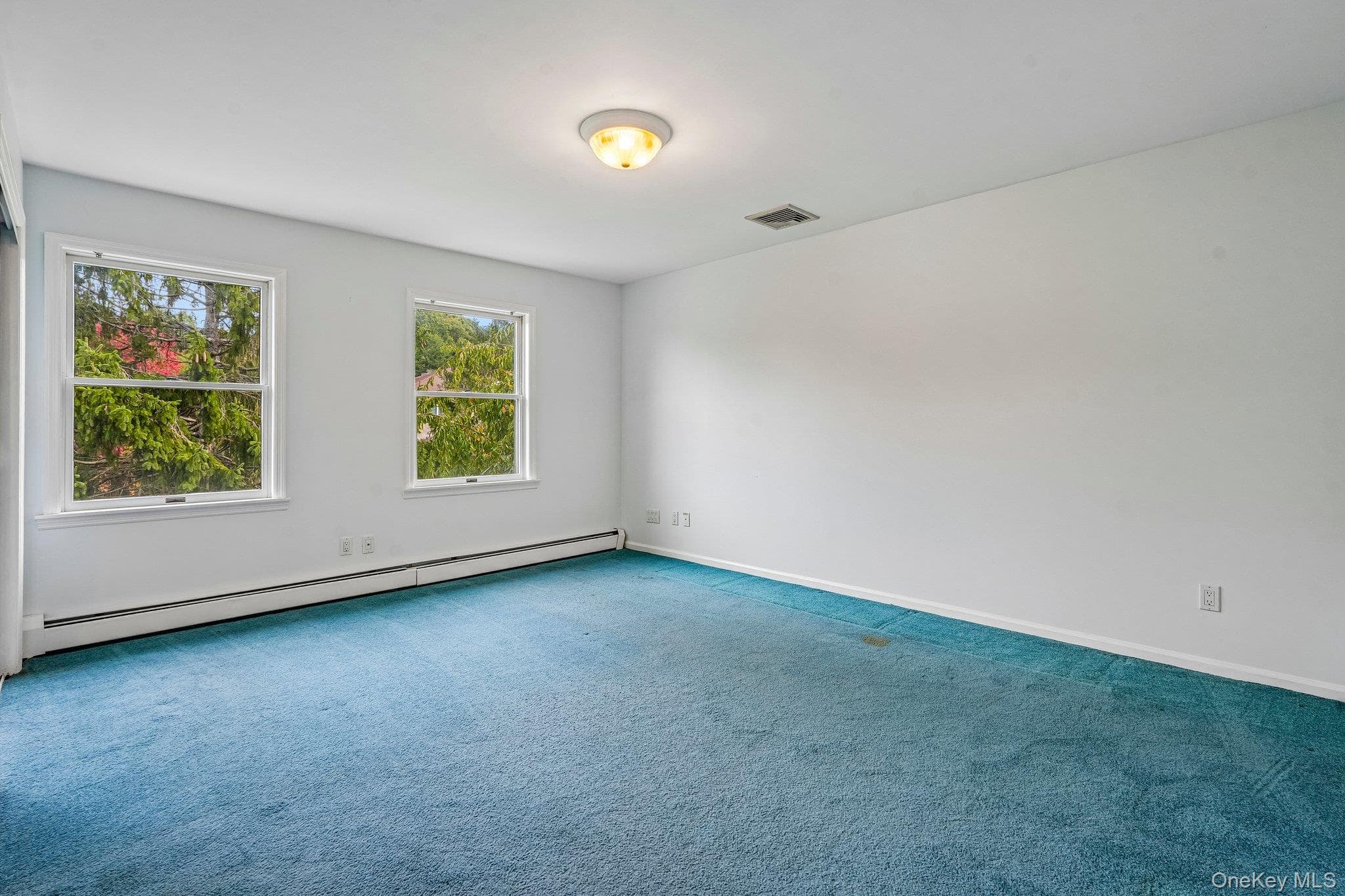 48 Westchester View Lane thumbnail 27