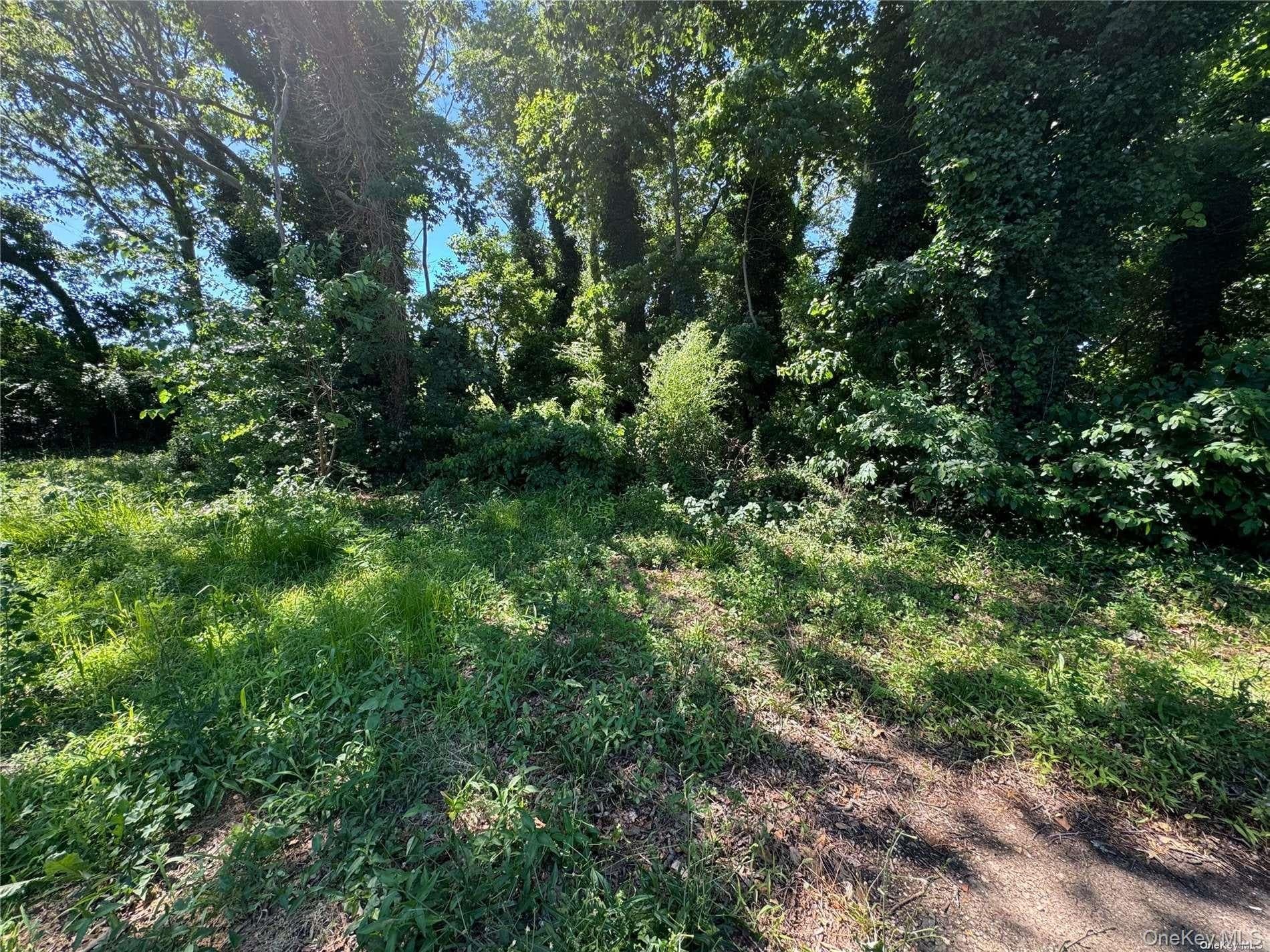215 Cortland Street, Copiague