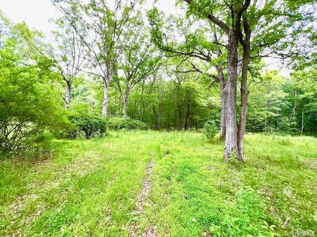 7584 N Route 97 thumbnail 9
