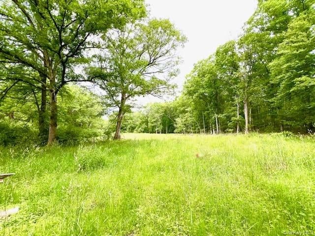 7584 N Route 97 thumbnail 4