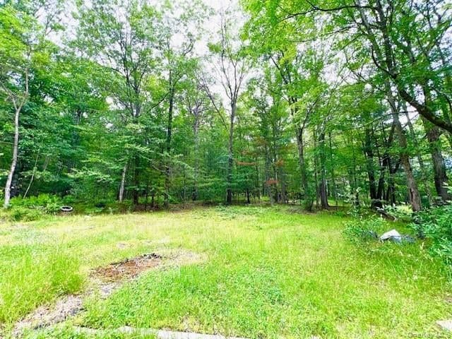 7584 N Route 97 thumbnail 5