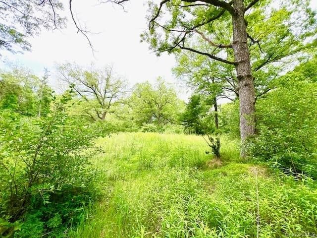 7584 N Route 97 thumbnail 6
