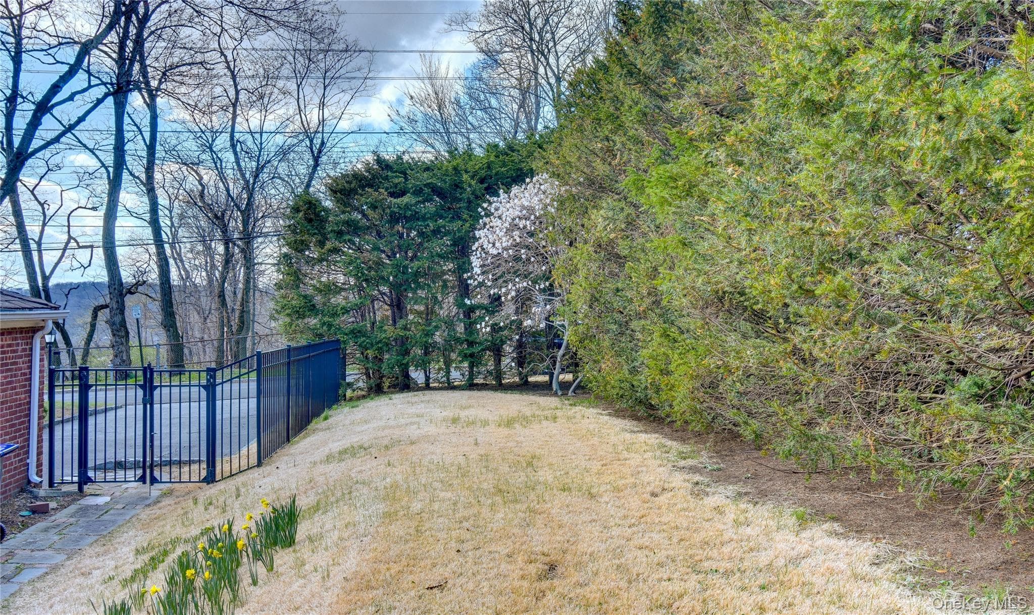 61 Kathwood Road thumbnail 44