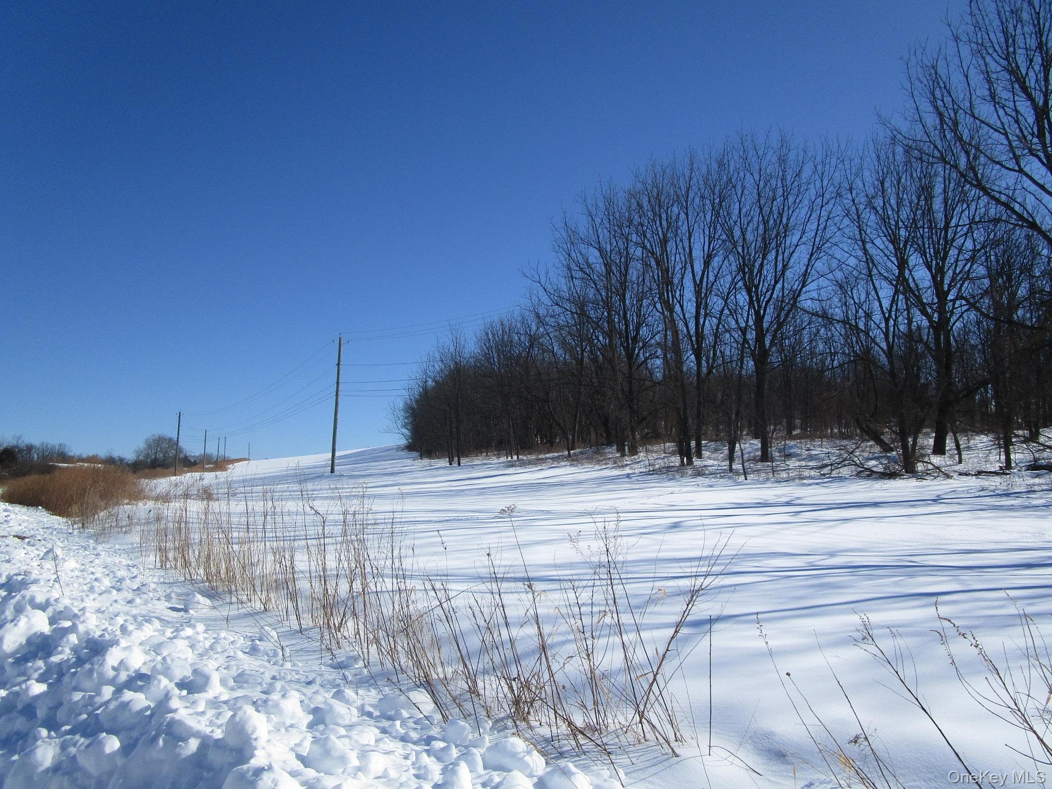 853 Pulaski Highway thumbnail 9