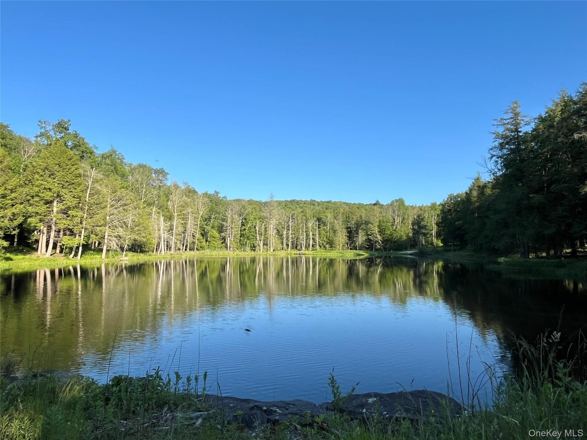 4 Cold Creek Pass thumbnail 6
