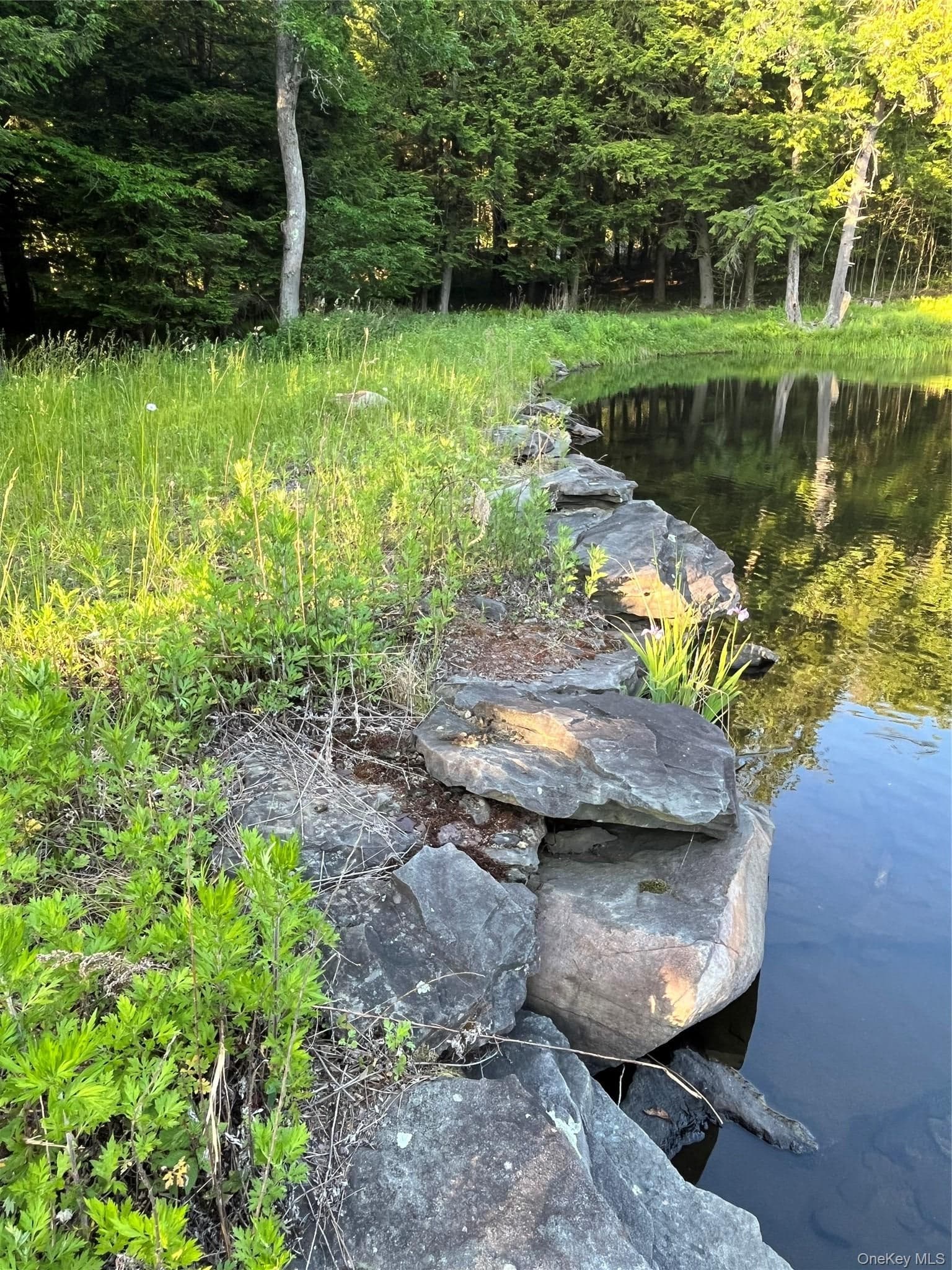 4 Cold Creek Pass thumbnail 10