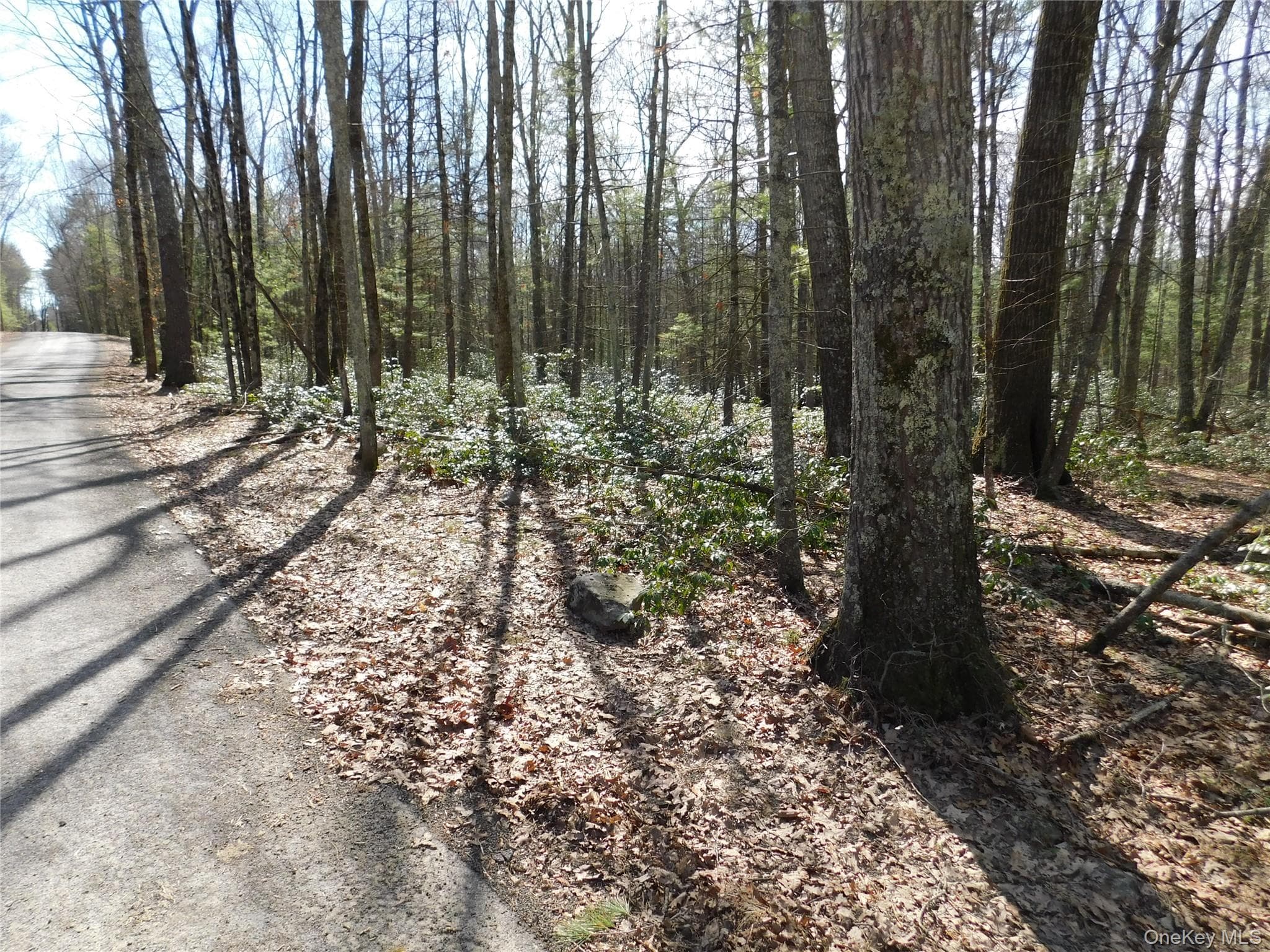 TBD Wright Rd thumbnail 10