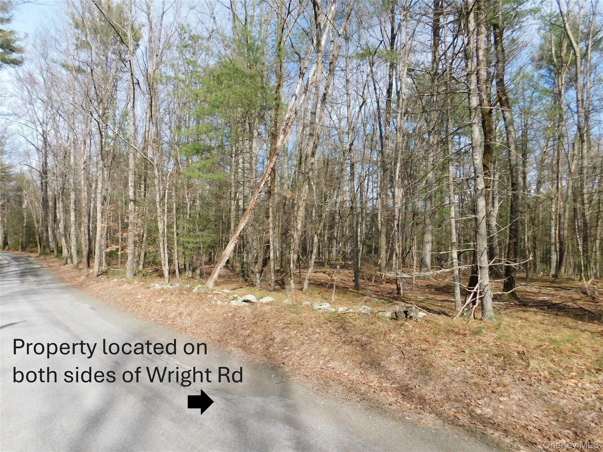 TBD Wright Rd thumbnail 7