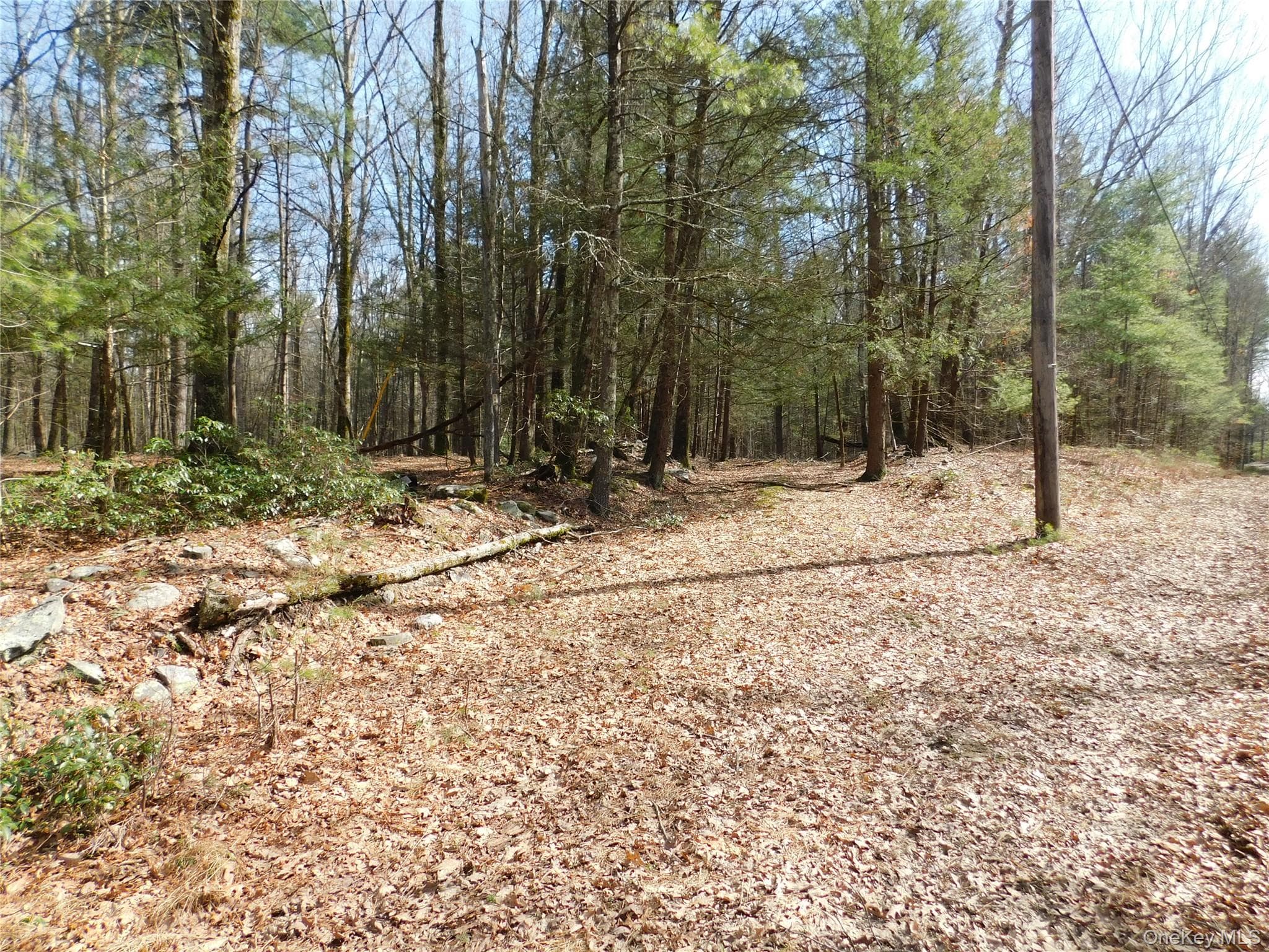 TBD Wright Rd thumbnail 13