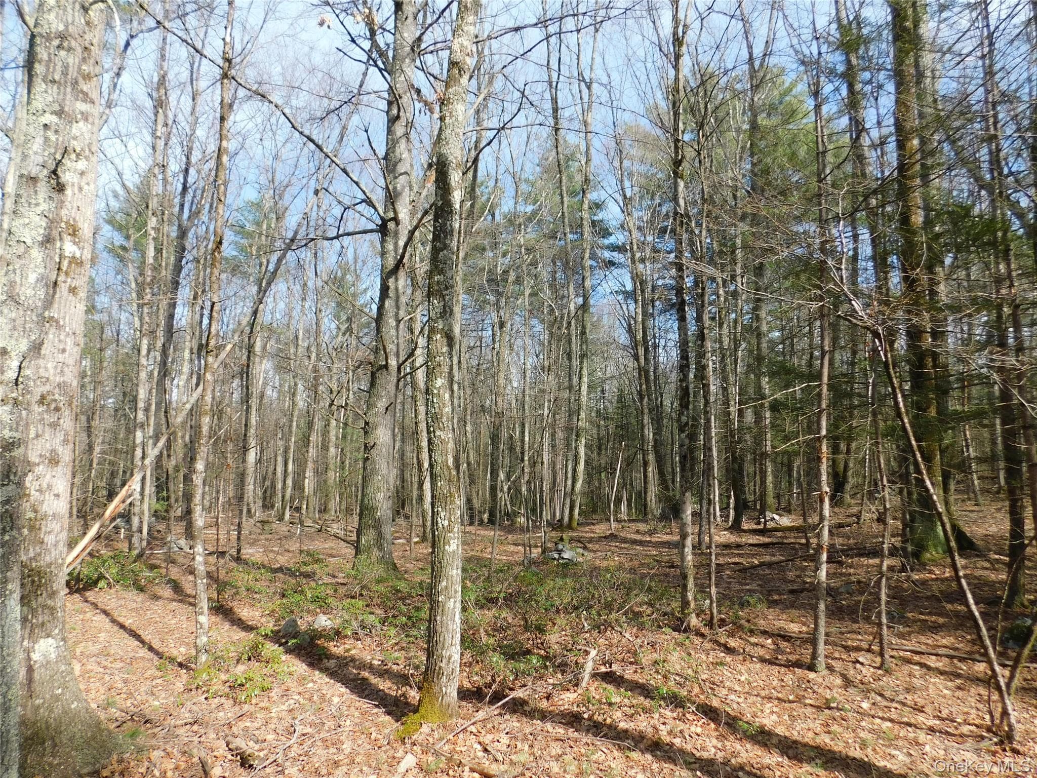 TBD Wright Rd thumbnail 15