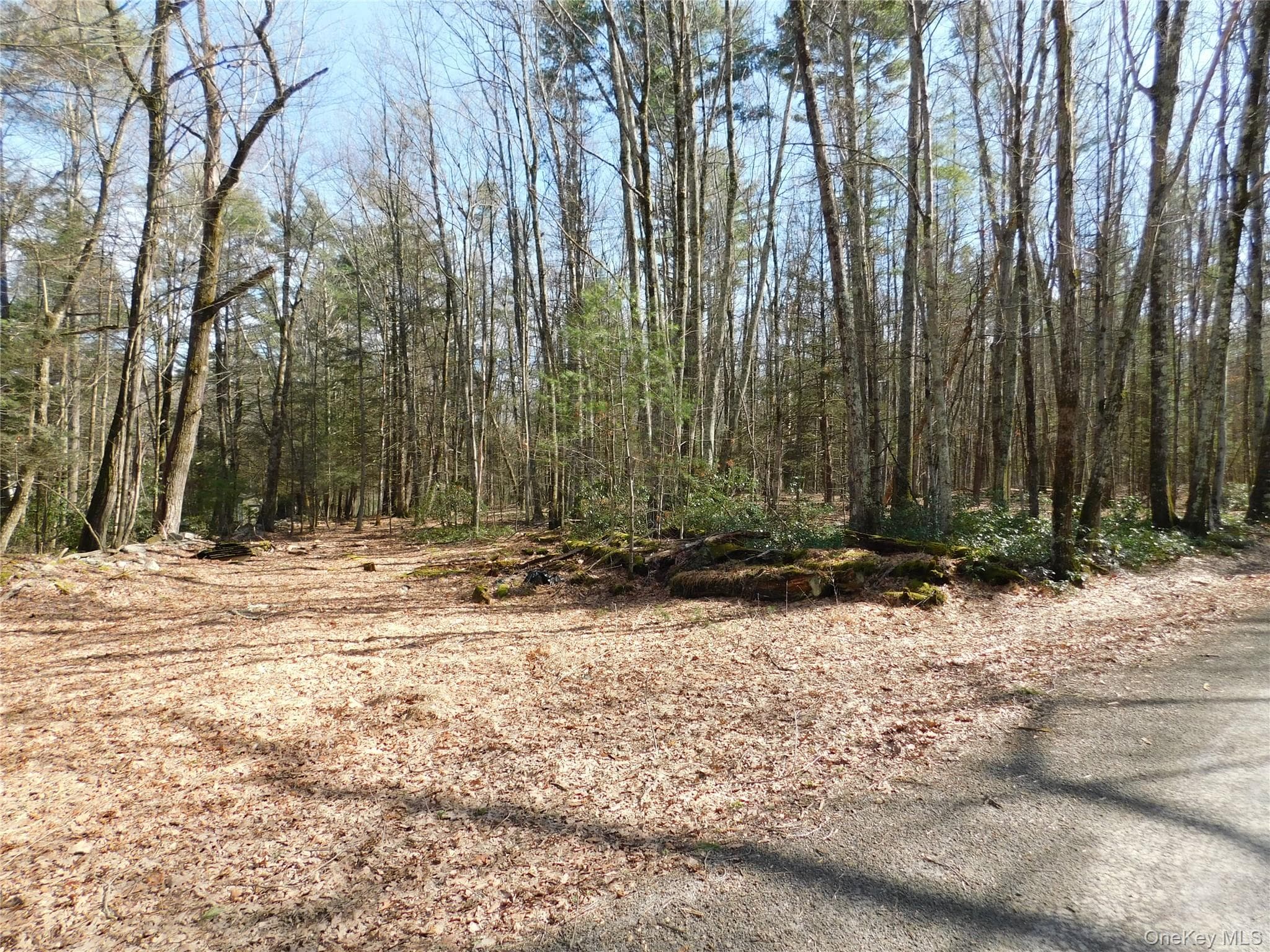 TBD Wright Rd thumbnail 8