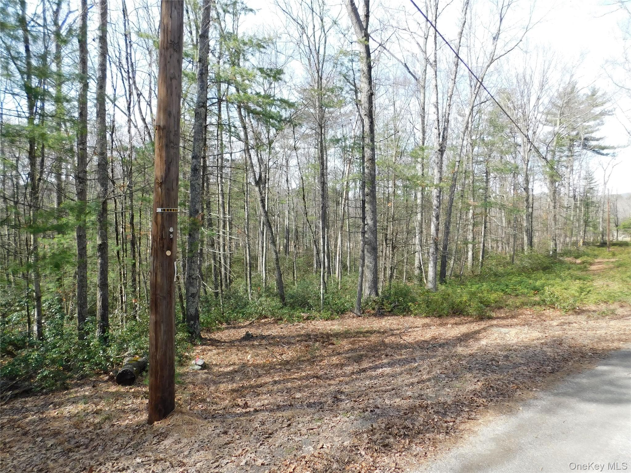 TBD Wright Rd thumbnail 9