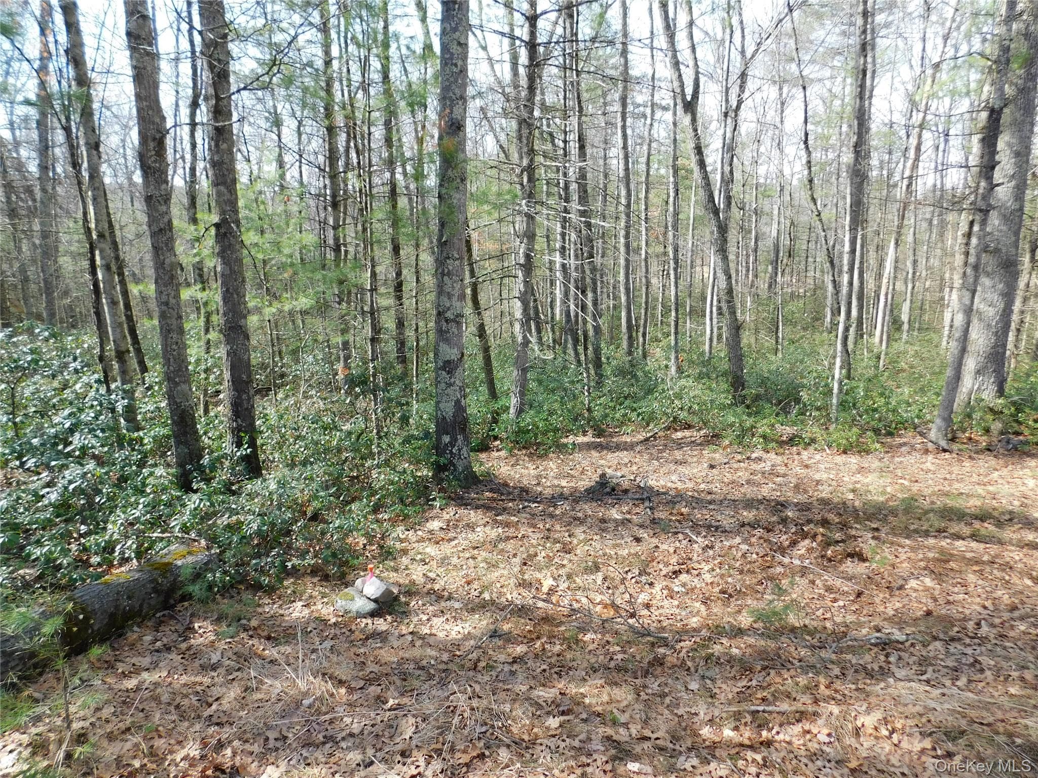 TBD Wright Rd thumbnail 11