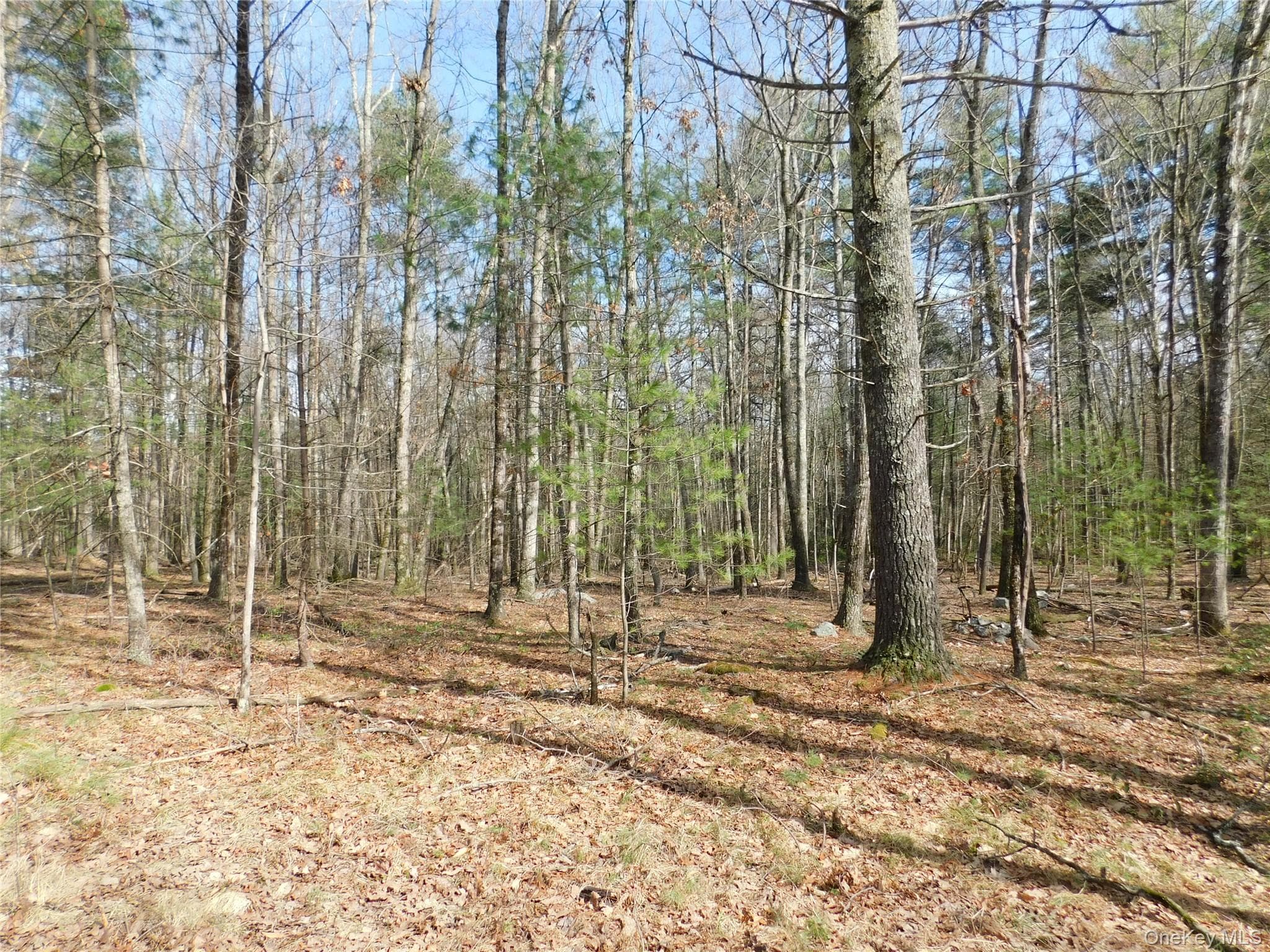 TBD Wright Rd thumbnail 12