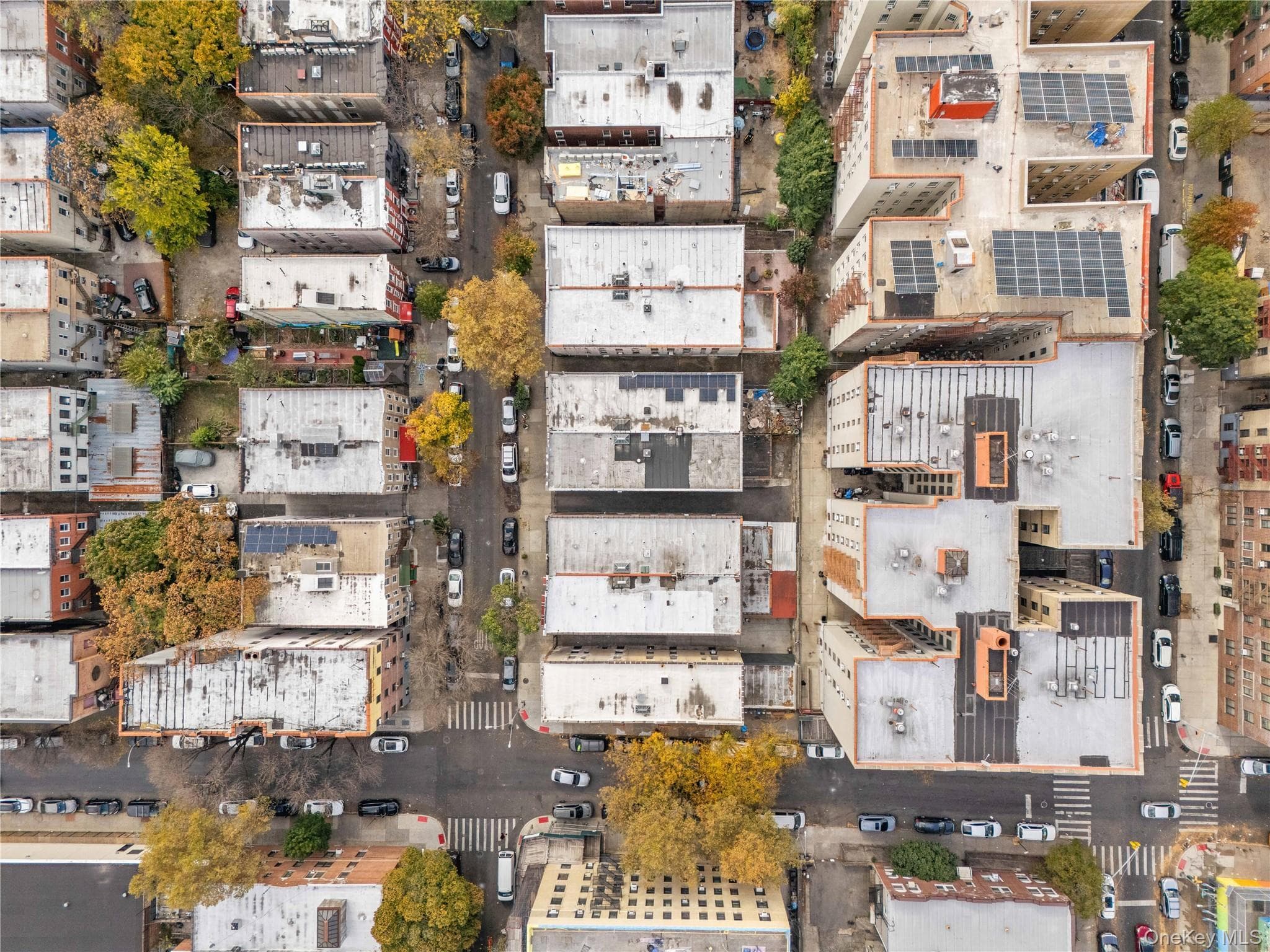 1069 Grant Avenue thumbnail 48