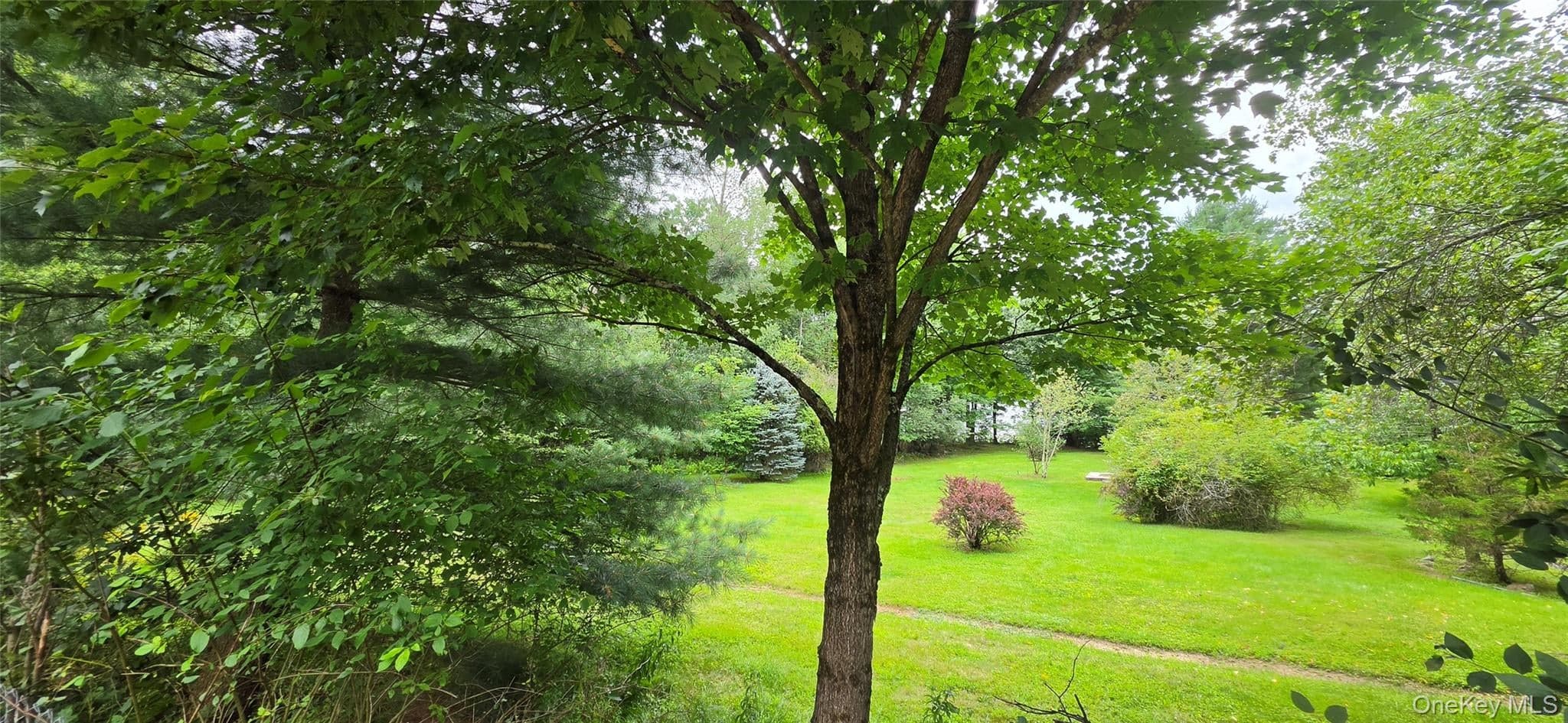 371 Kelly Bridge Road Unit: 373 thumbnail 2