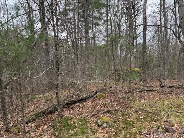 Lot 32 Woodstone Trail thumbnail 7