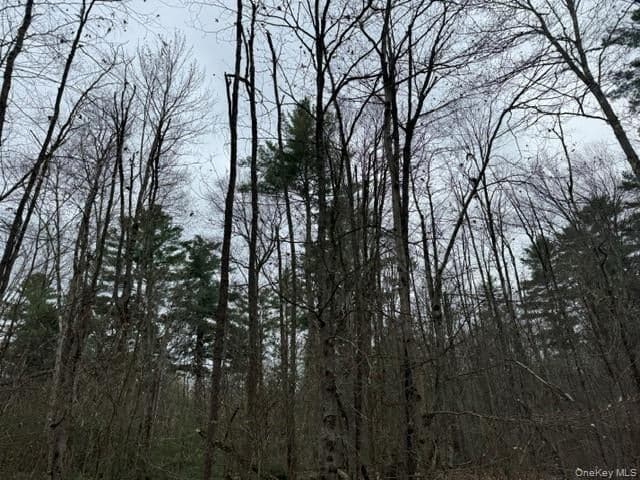 Lot 32 Woodstone Trail thumbnail 3
