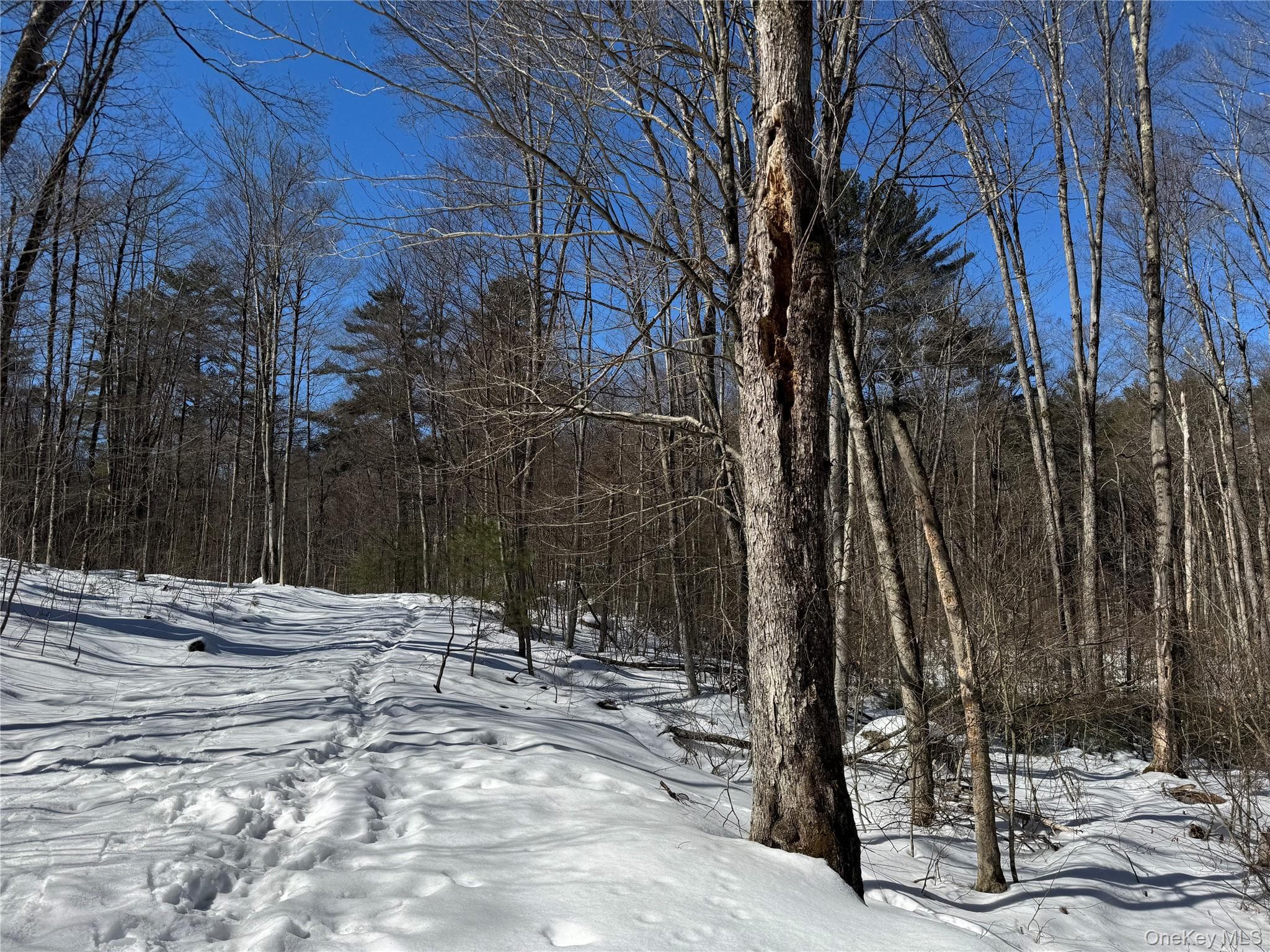 Lot 32 Woodstone Trail thumbnail 11