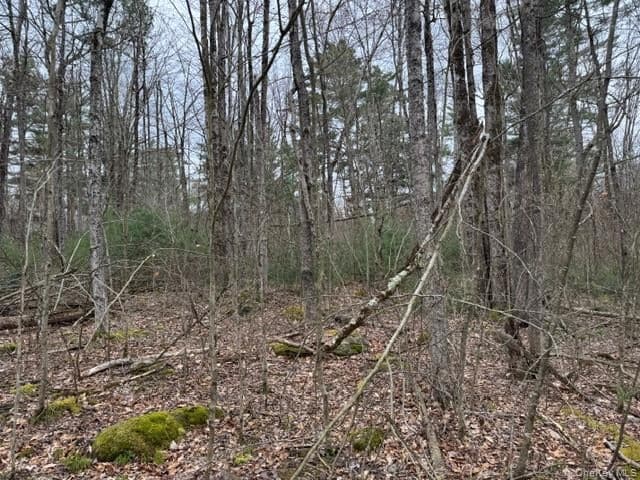 Lot 32 Woodstone Trail thumbnail 9