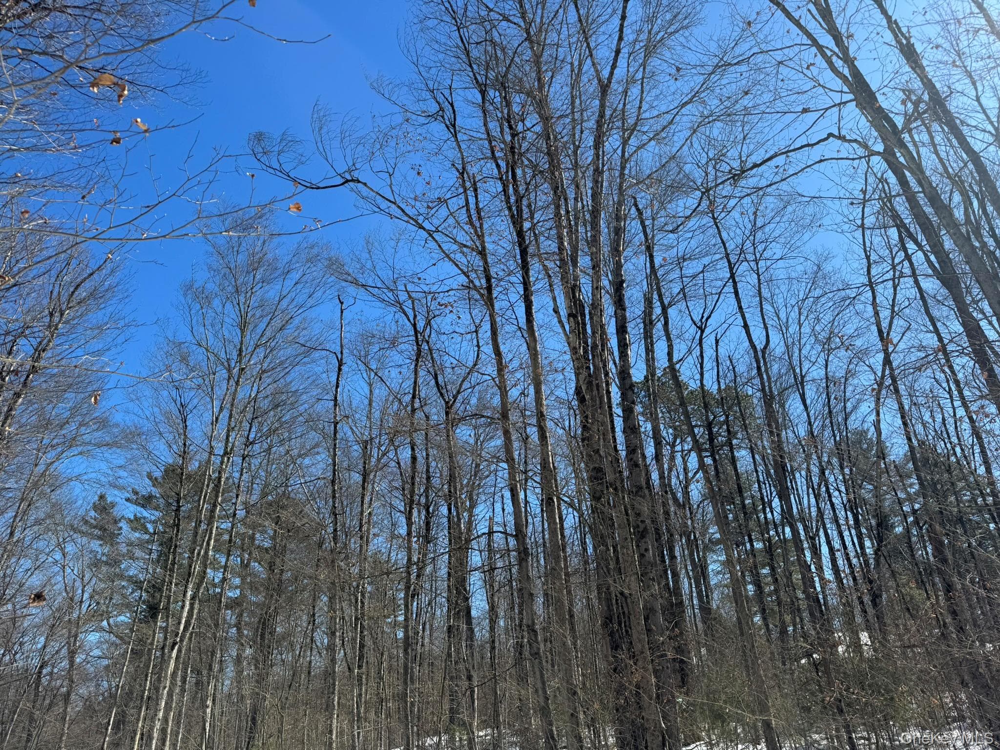 Lot 32 Woodstone Trail thumbnail 12