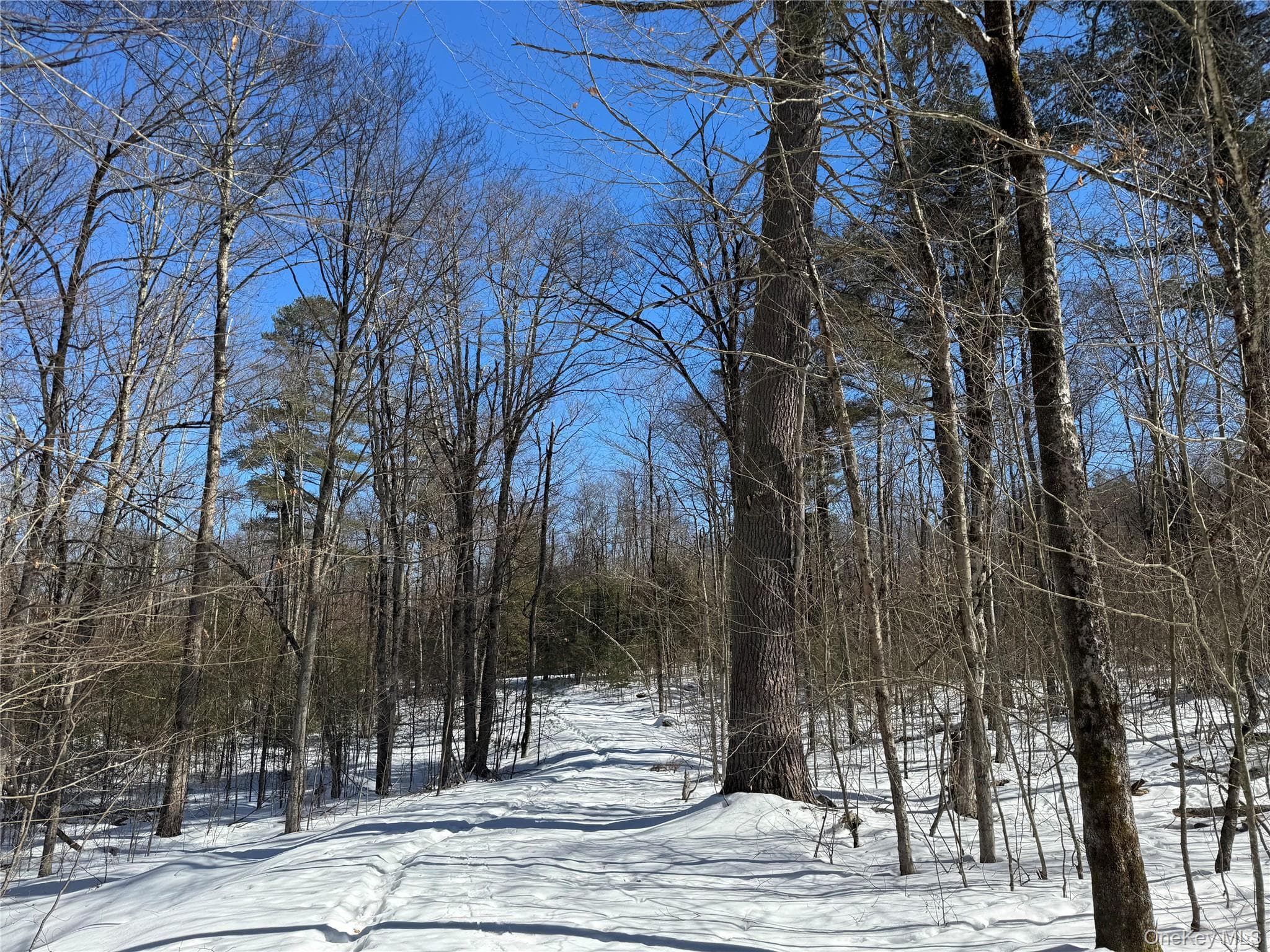 Lot 32 Woodstone Trail thumbnail 14