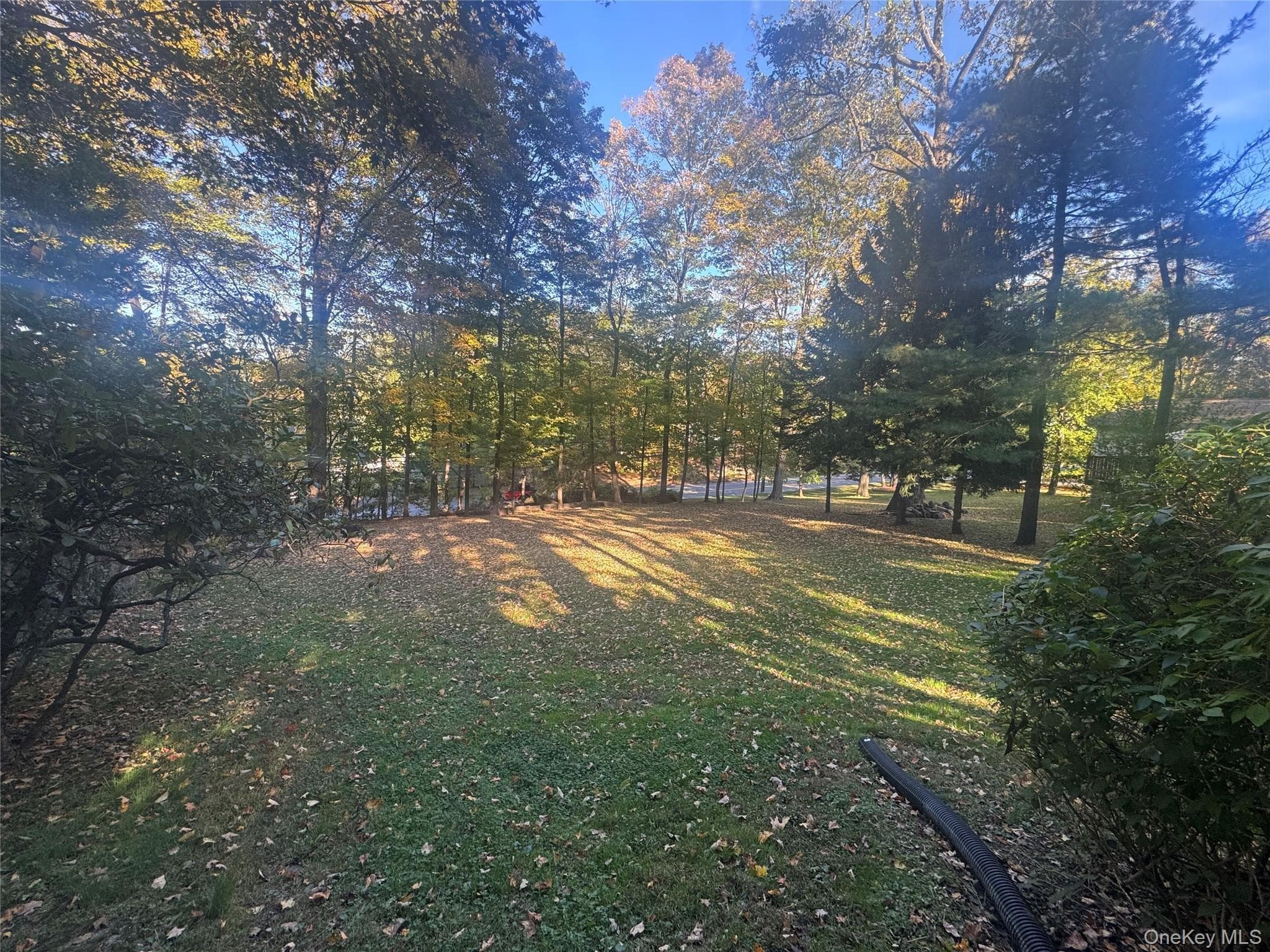 Laurel Hill Road thumbnail 4