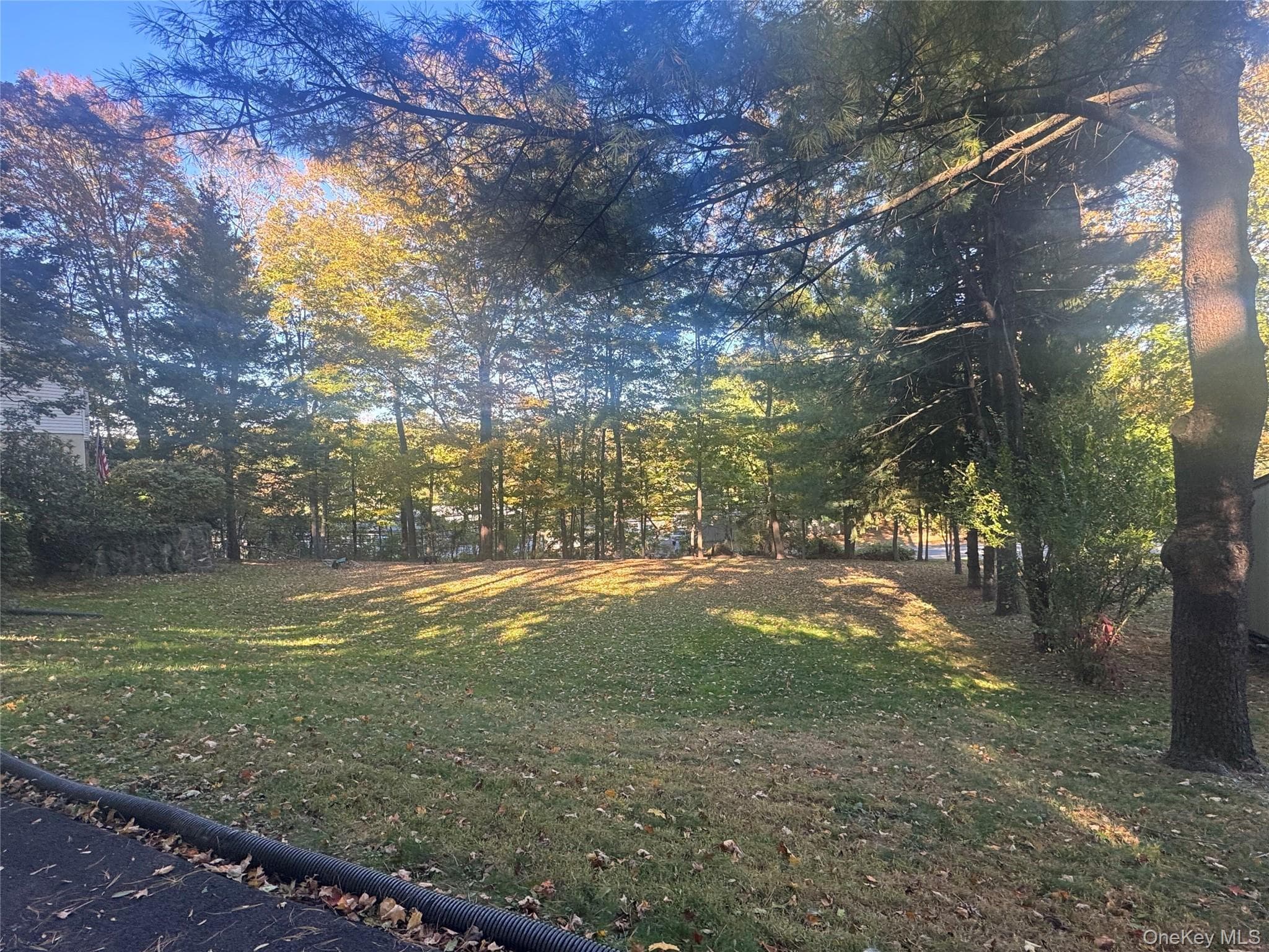 Laurel Hill Road thumbnail 7