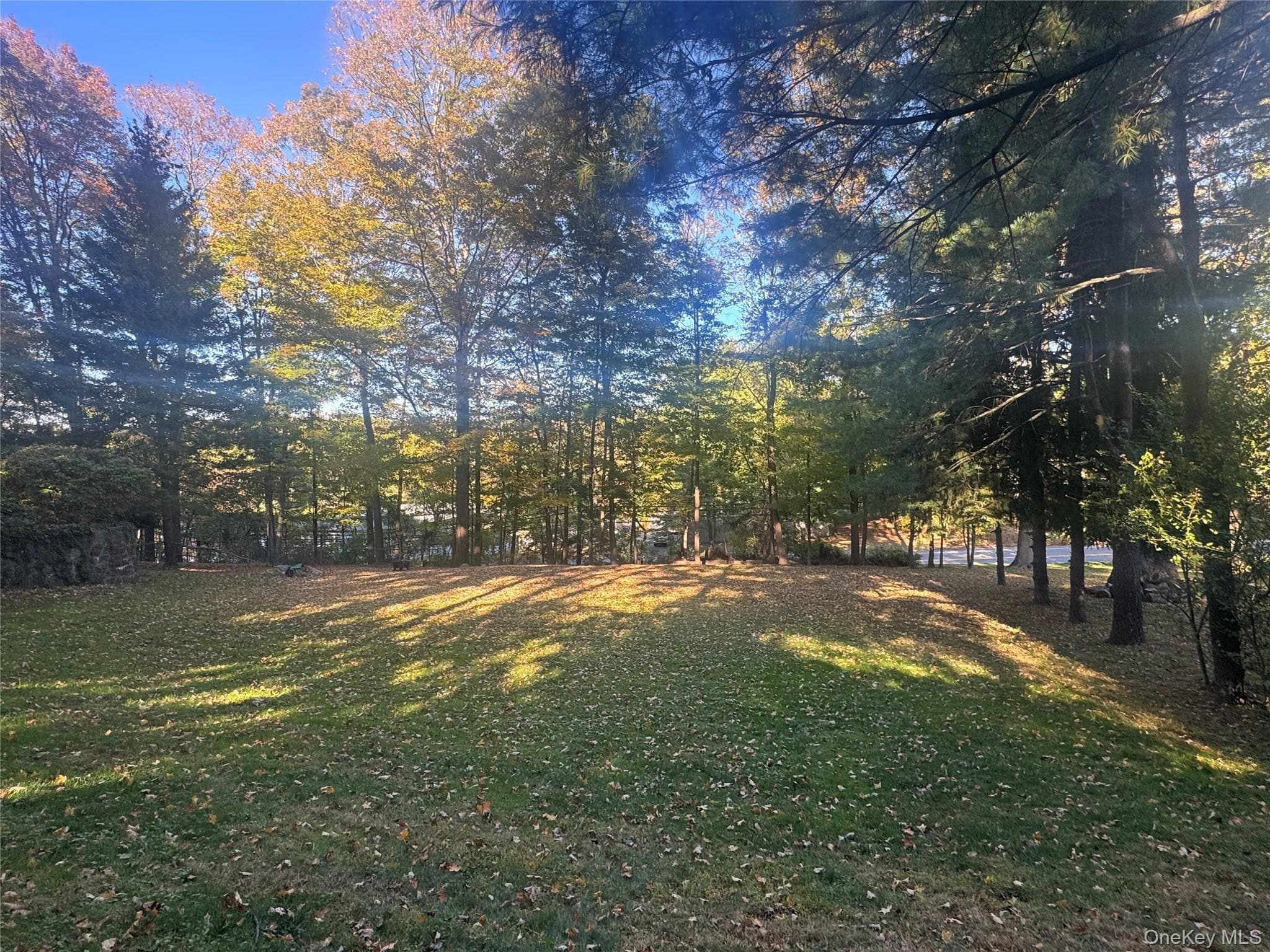 Laurel Hill Road thumbnail 8