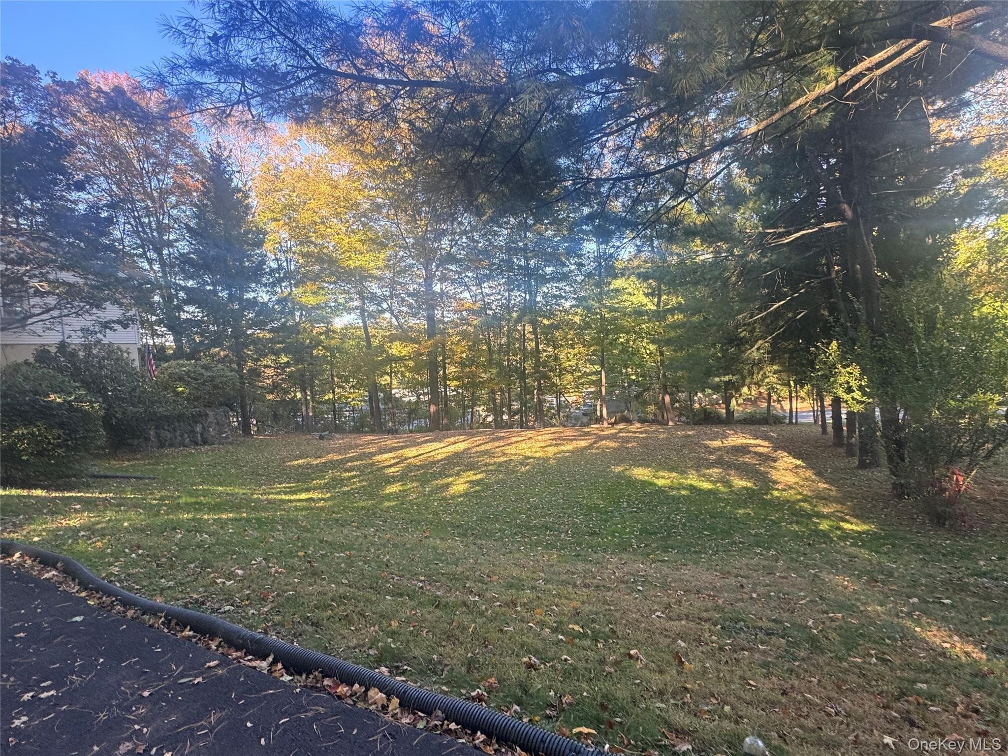 Laurel Hill Road thumbnail 6
