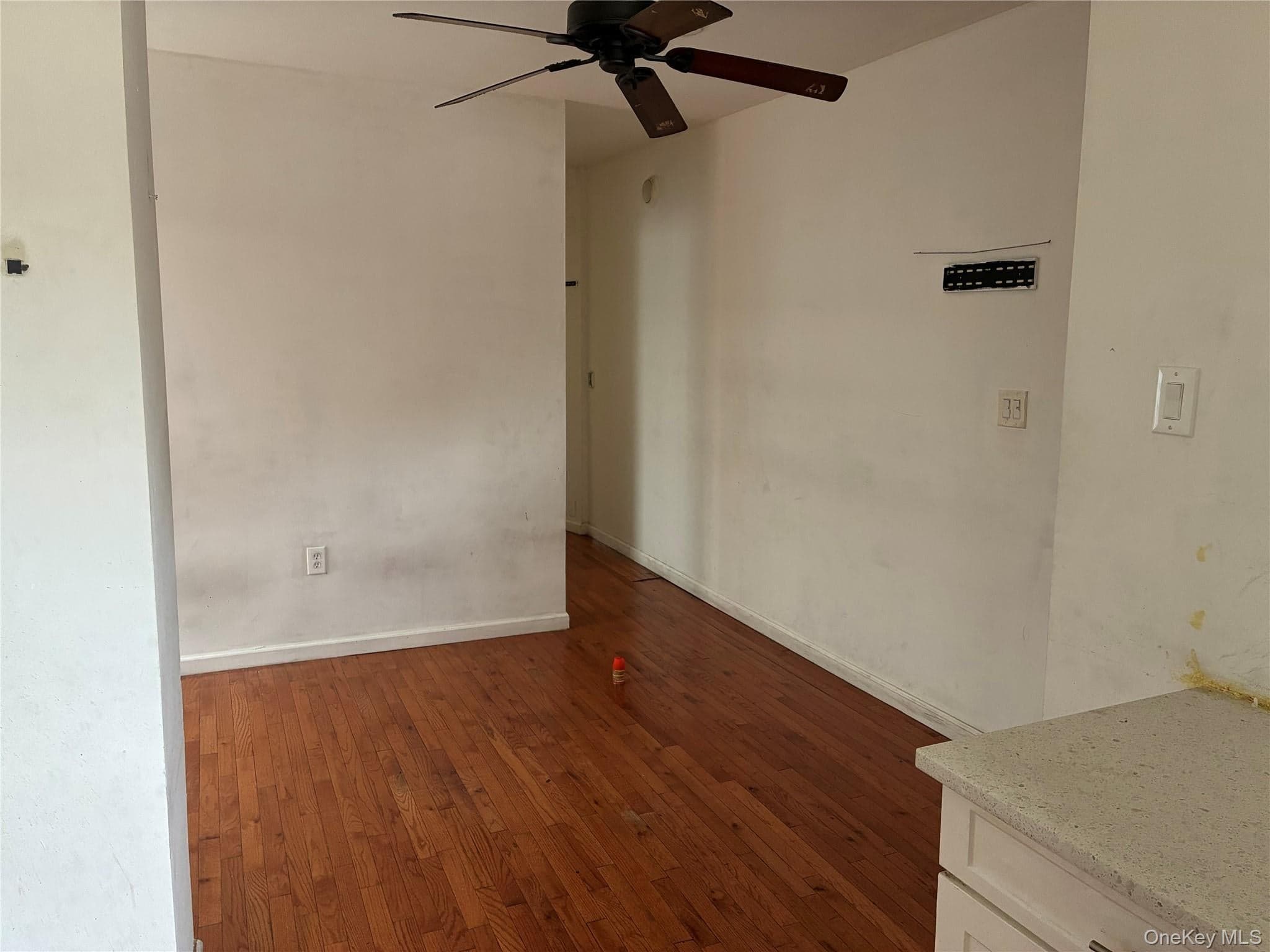 12105 Linden Boulevard thumbnail 15