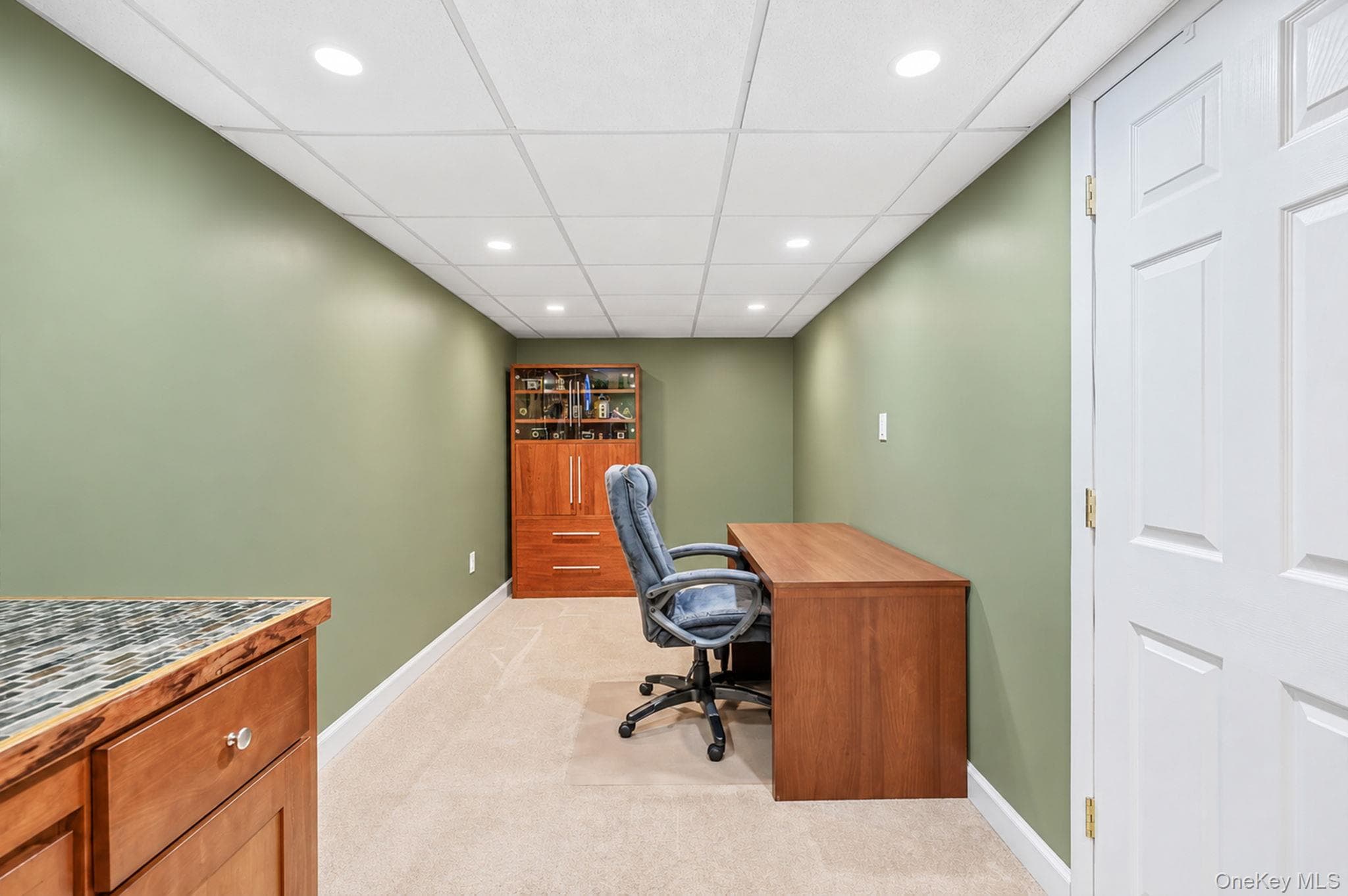 30 Janet Drive thumbnail 37