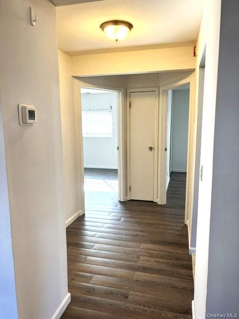 141 Pointe Circle N Cir Unit: 141 thumbnail 23
