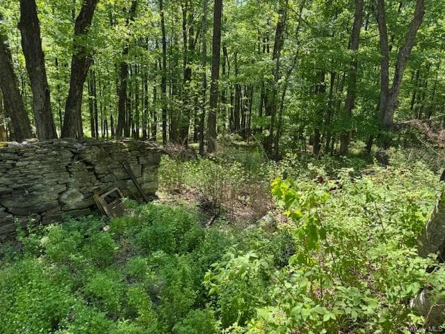 00 Polster RD, Callicoon