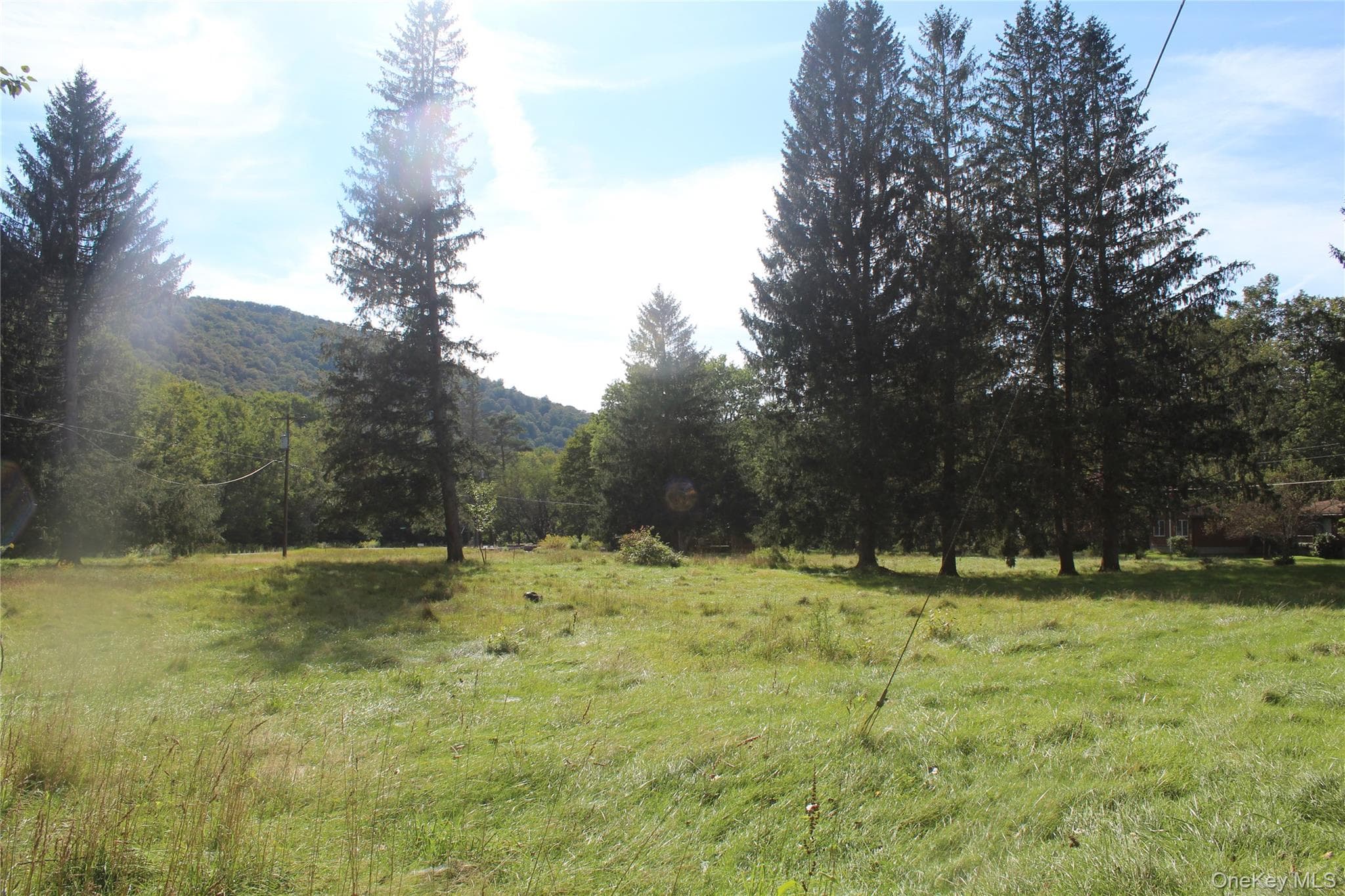 51 Wegman Road thumbnail 4