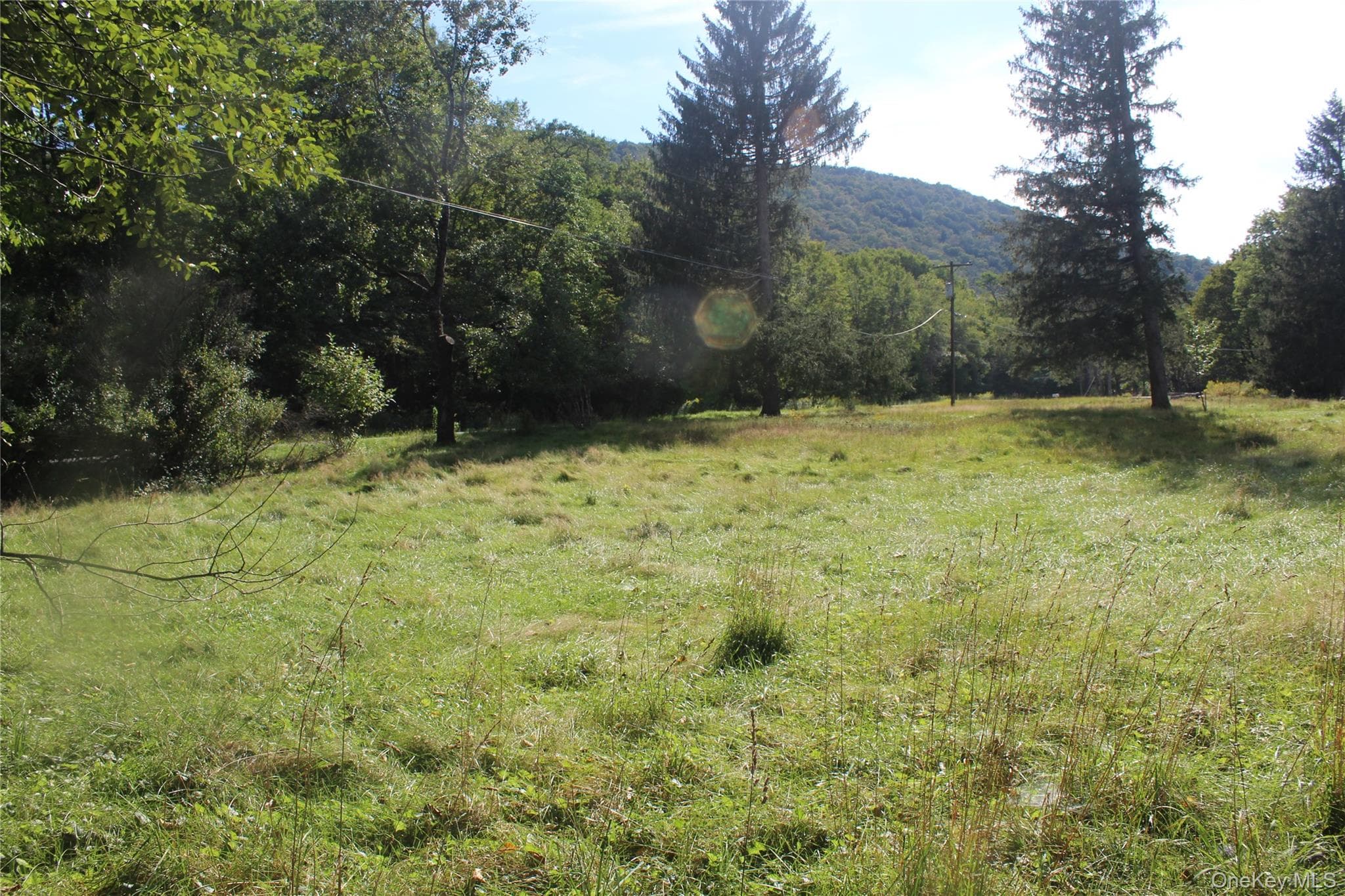 51 Wegman Road thumbnail 5