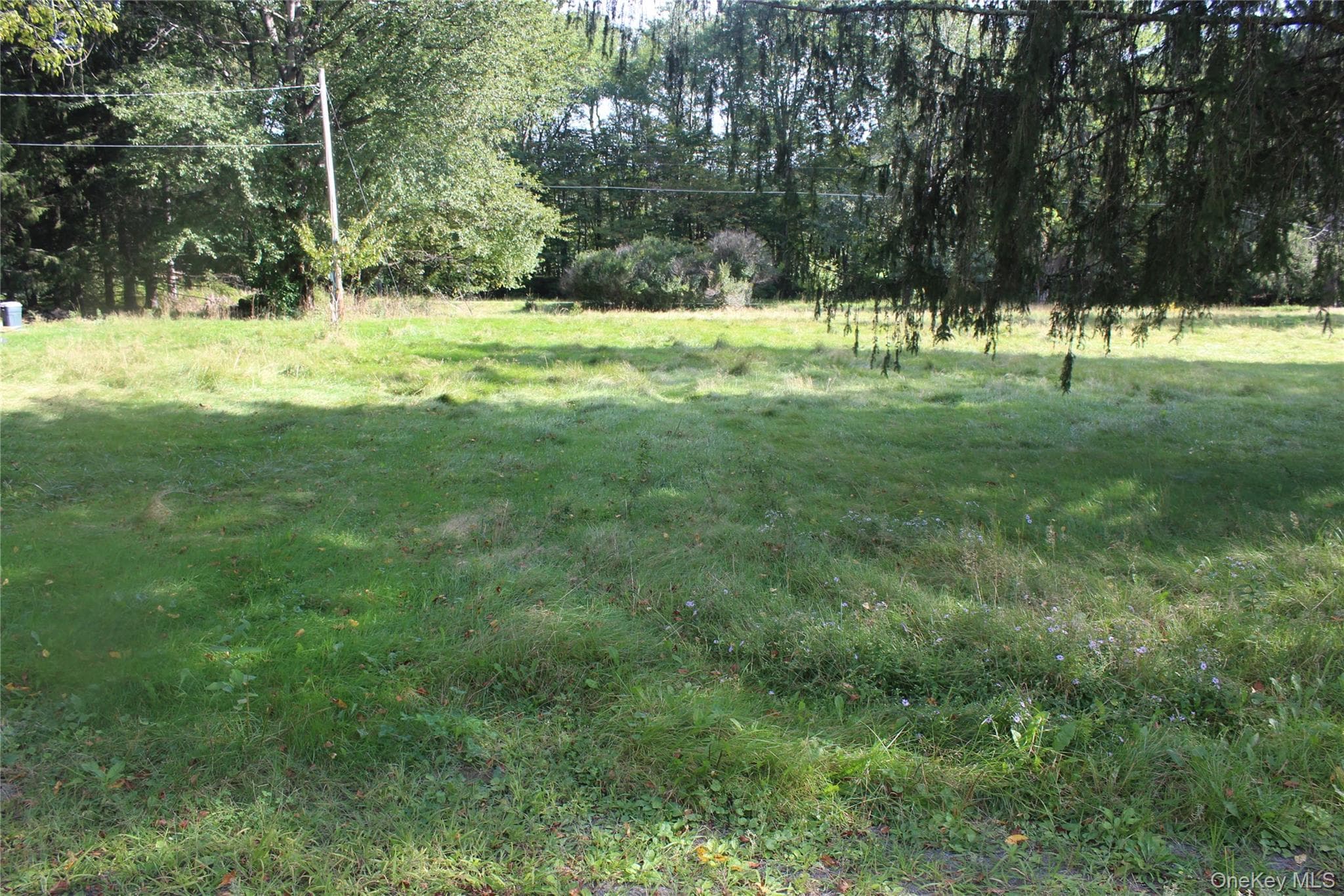 51 Wegman Road photo 1