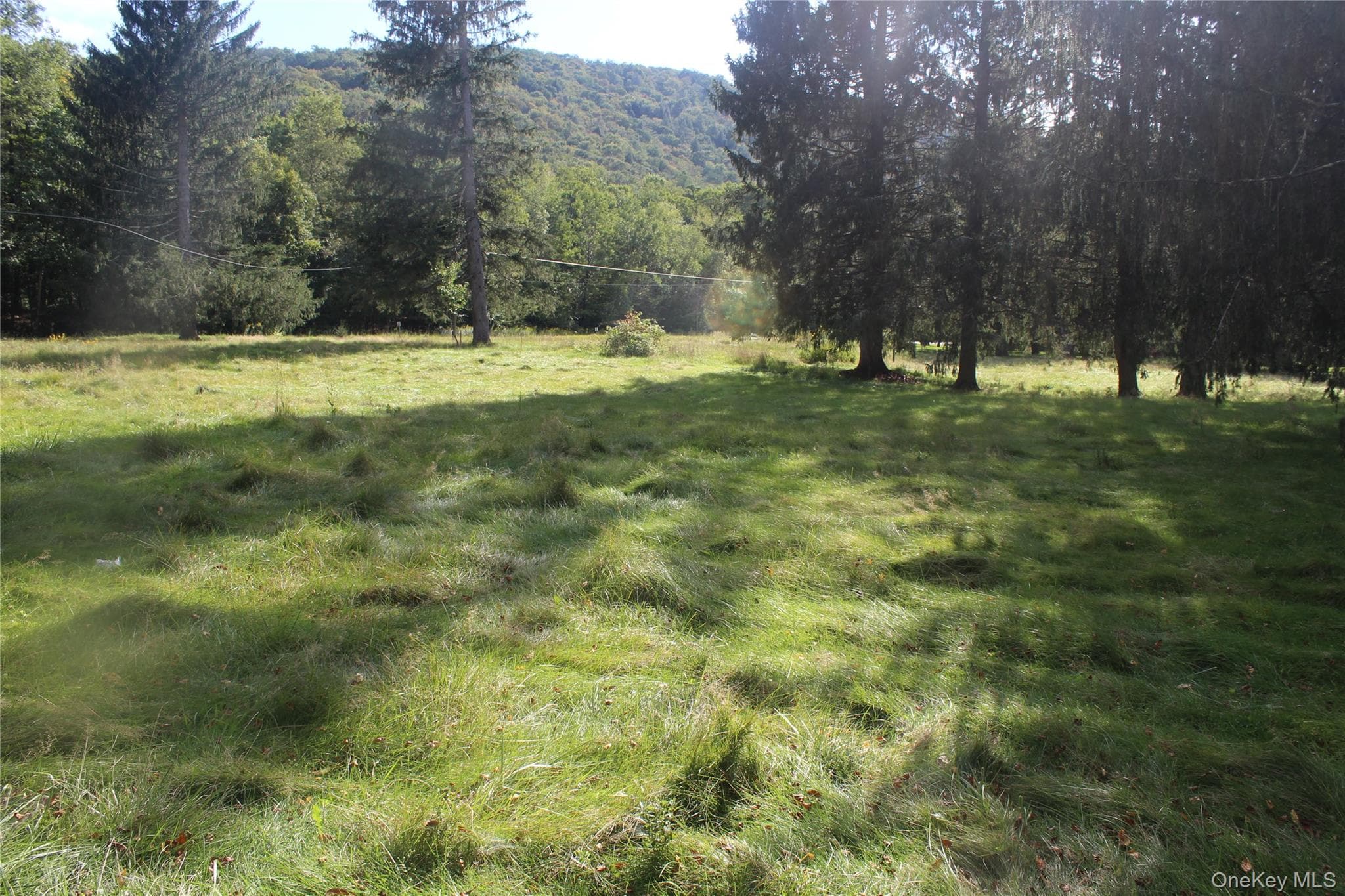 51 Wegman Road thumbnail 3