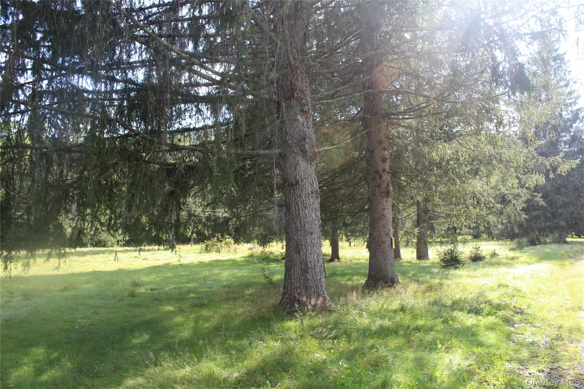 51 Wegman Road thumbnail 2